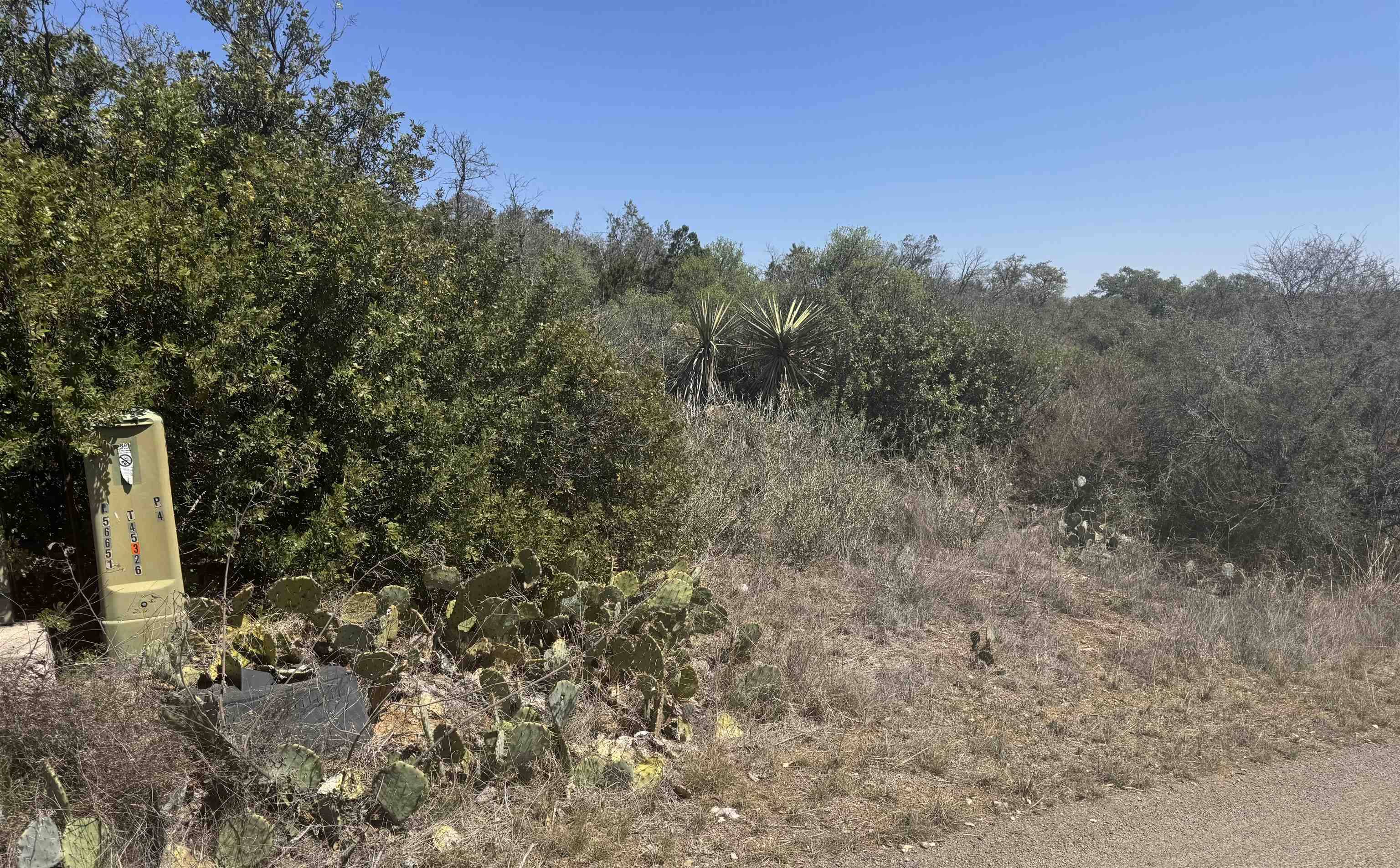 Lot 56 War Bonnet RDG, Kingsland, TX 78639