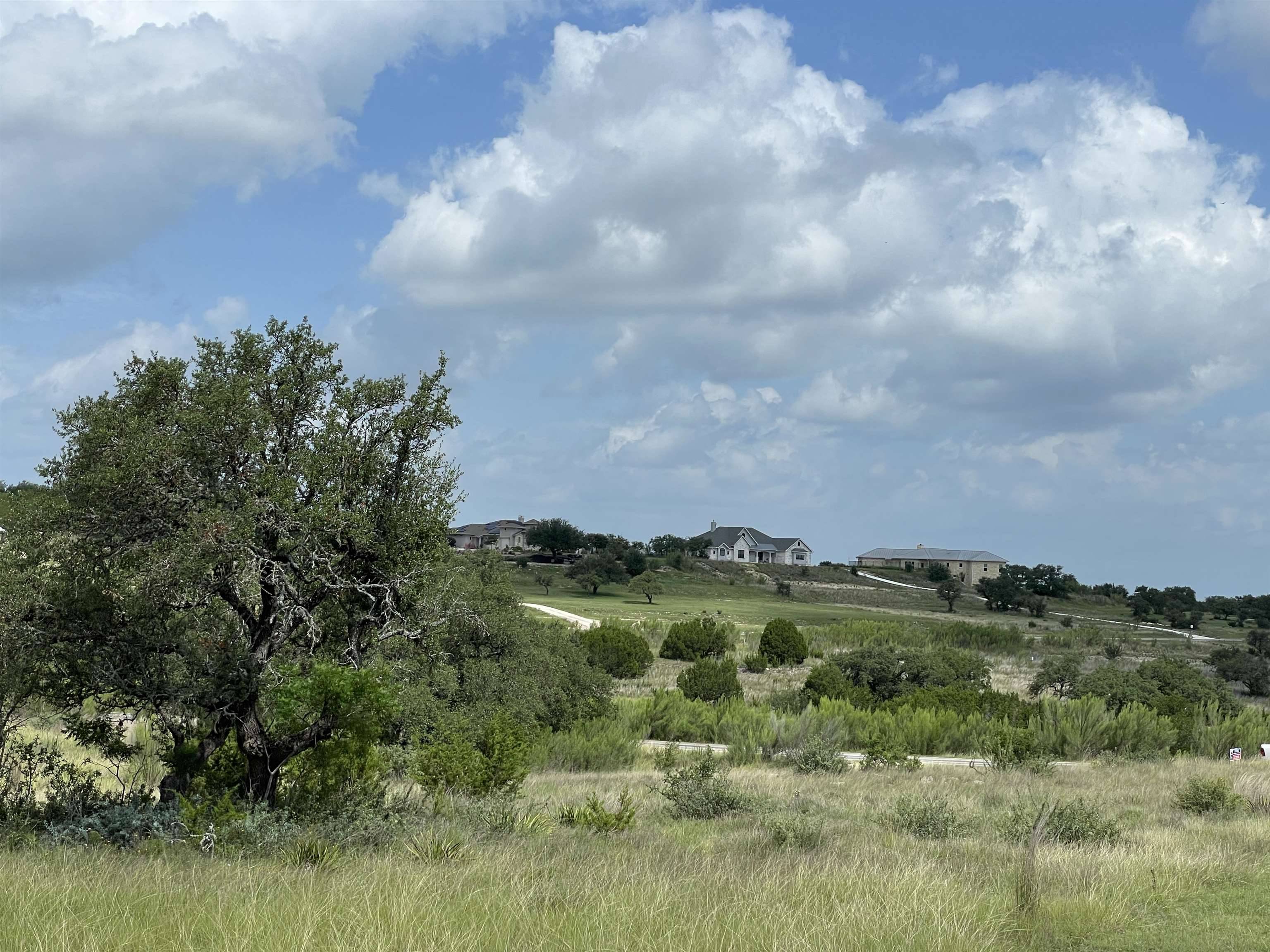 321 Cedar Mountain DR, Marble Falls, TX 78669-2194