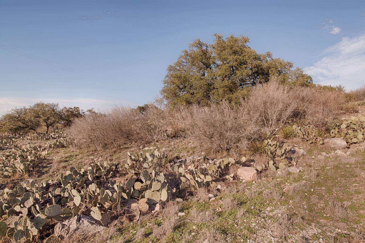 Lot 13056 Bull Whip, Horseshoe Bay, TX 78657