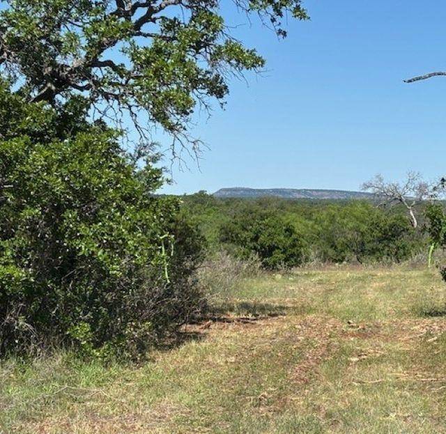 Address not disclosed, Llano, TX 78643