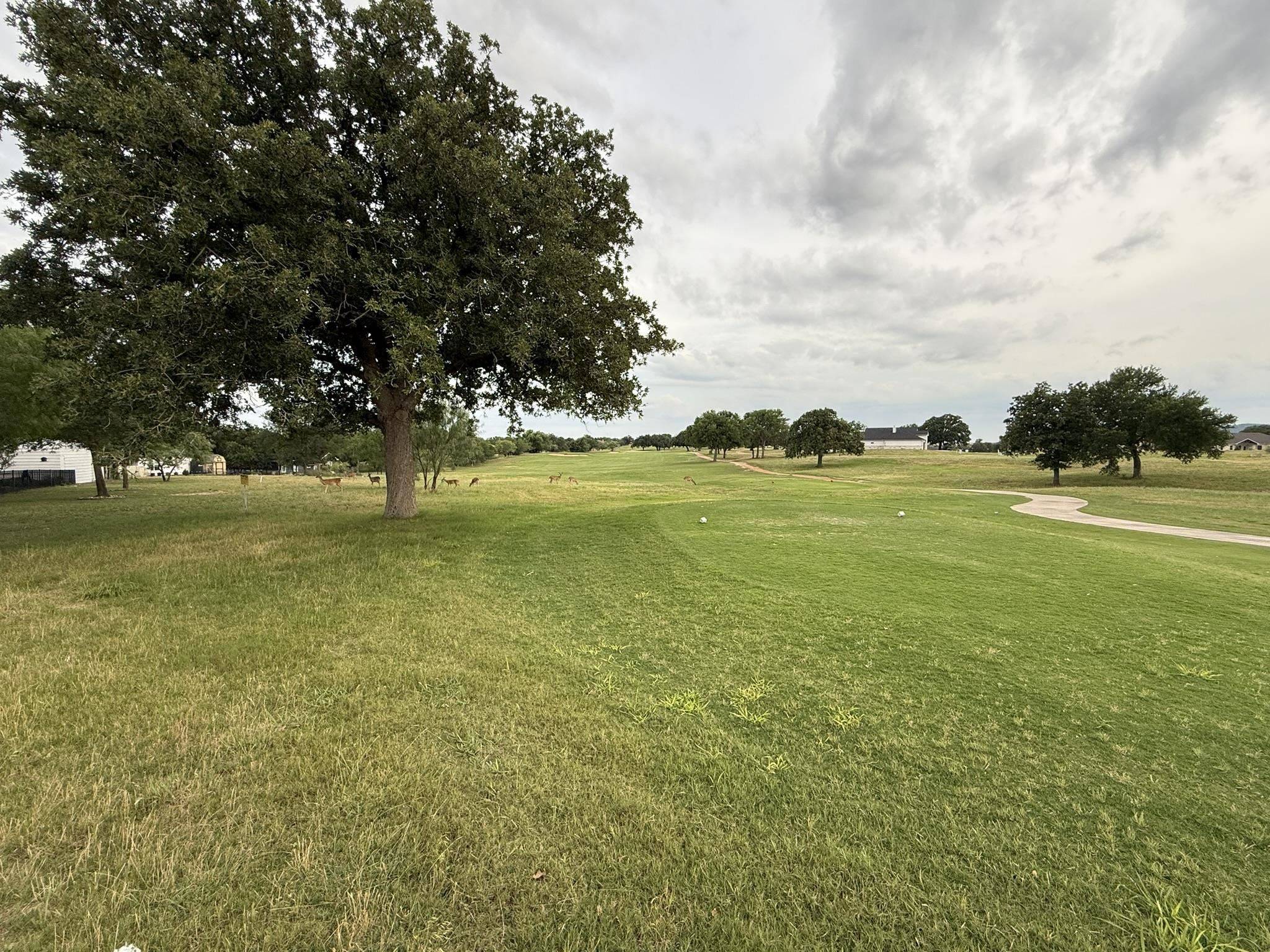 Lot 139 Woodlawn, Kingsland, TX 78639