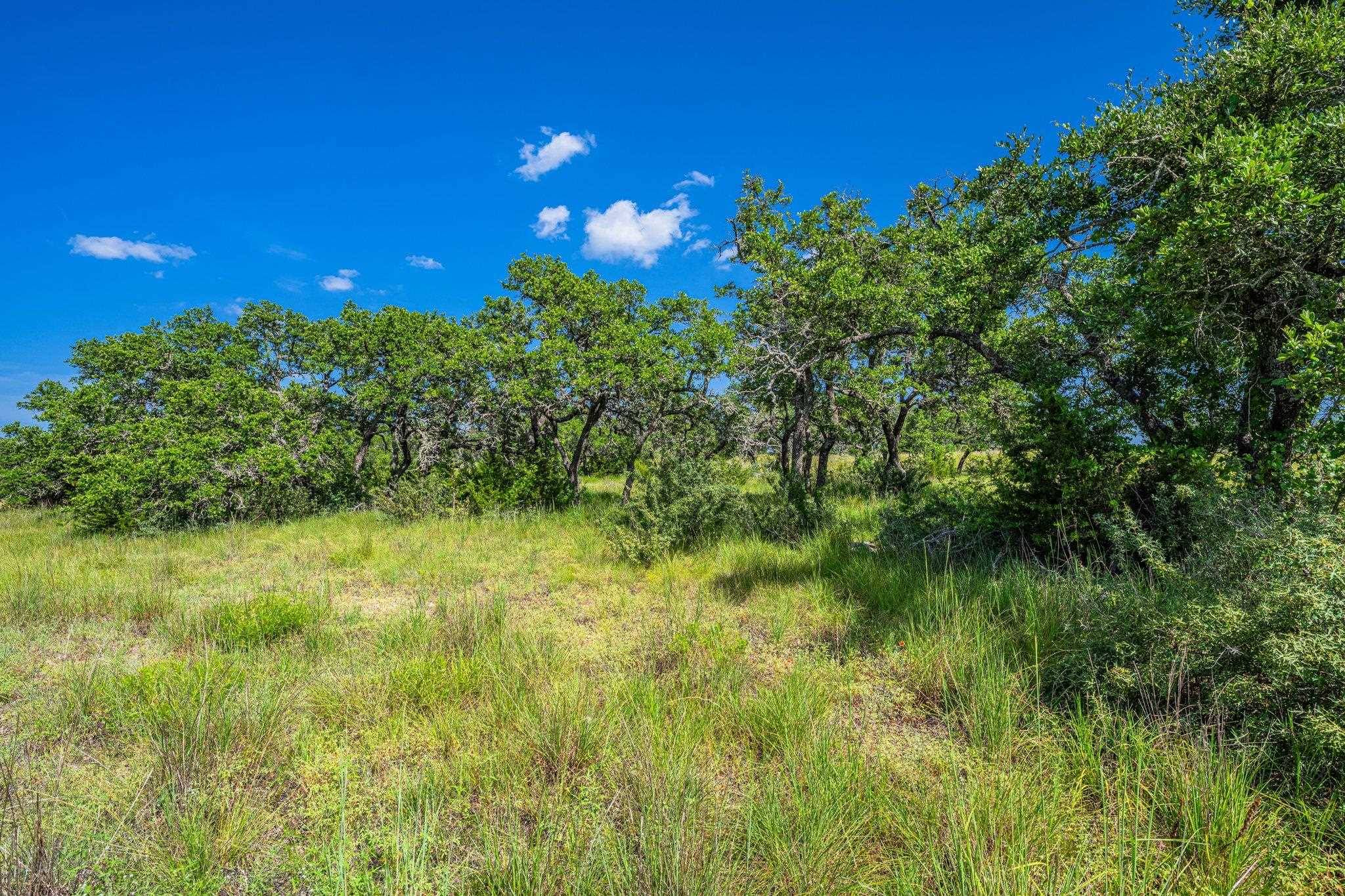 613 Cattle Creek RD, Johnson City, TX 78636