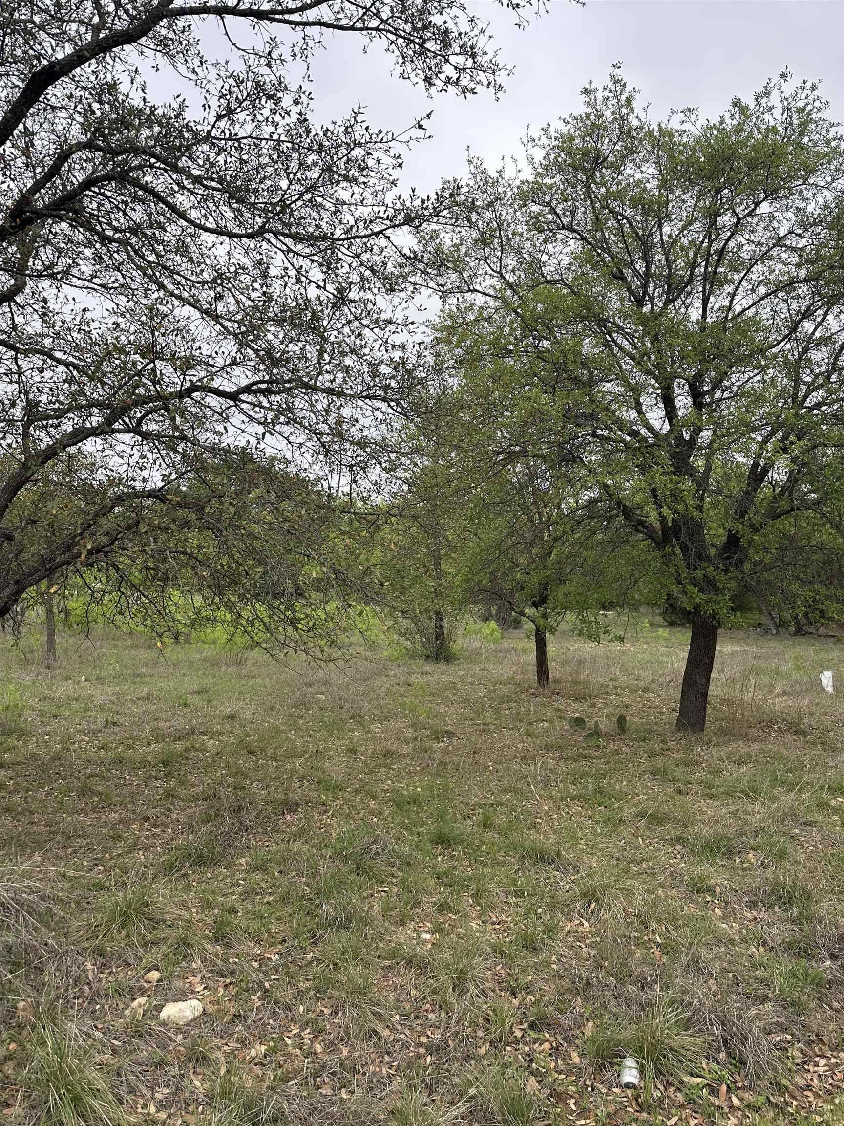 Lot 161 Driftwood Ln, Cottonwood Shores, TX 78657
