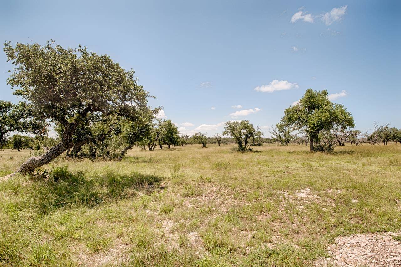 Lot 92 Stock Pond DR, Harper, TX 78631