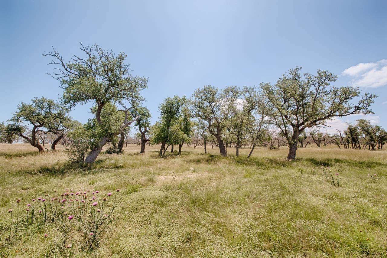 Lot 93 Stock Pond DR, Harper, TX 78631