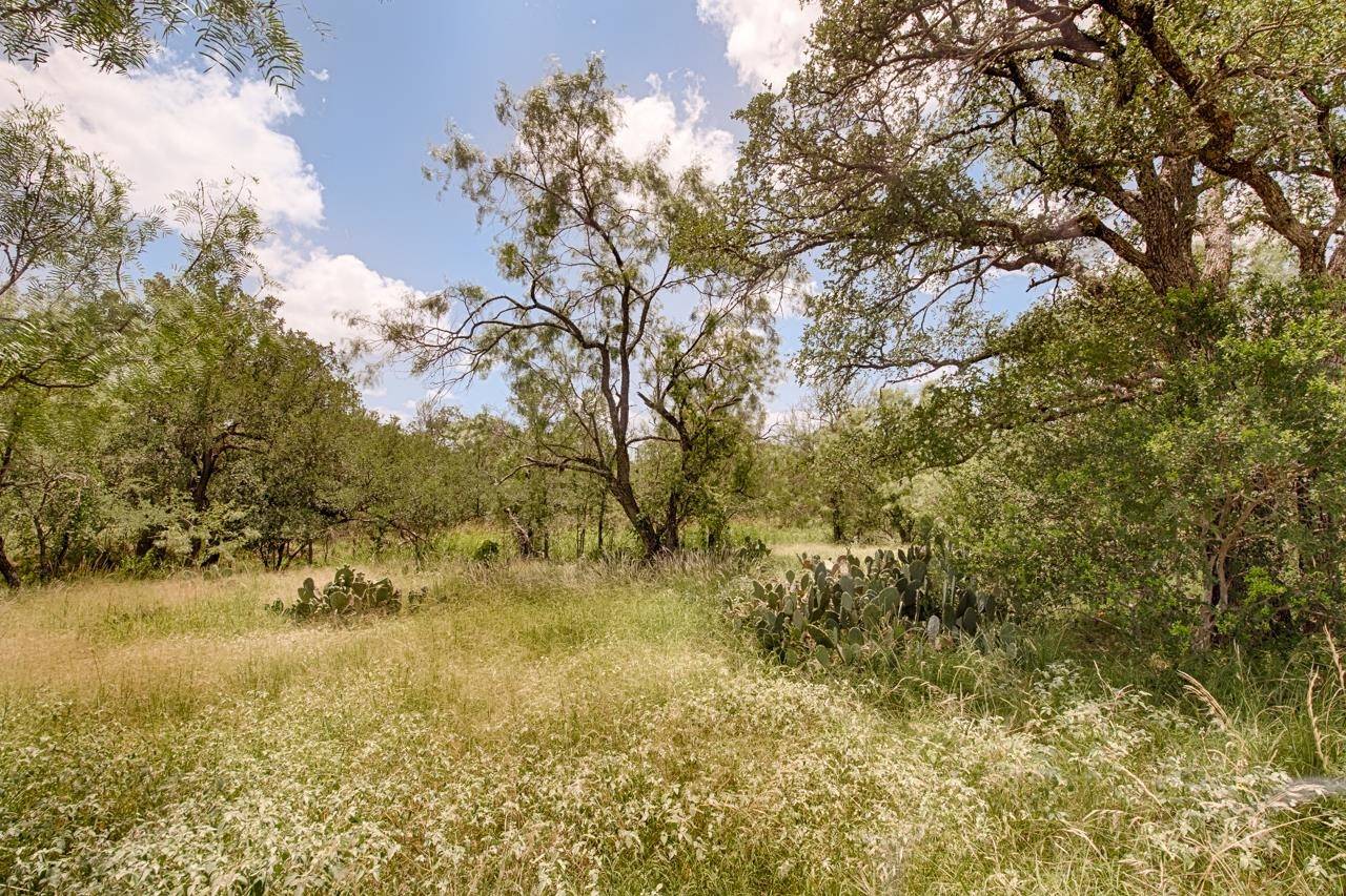 TBD Timber Valley LN, Granite Shoals, TX 78654