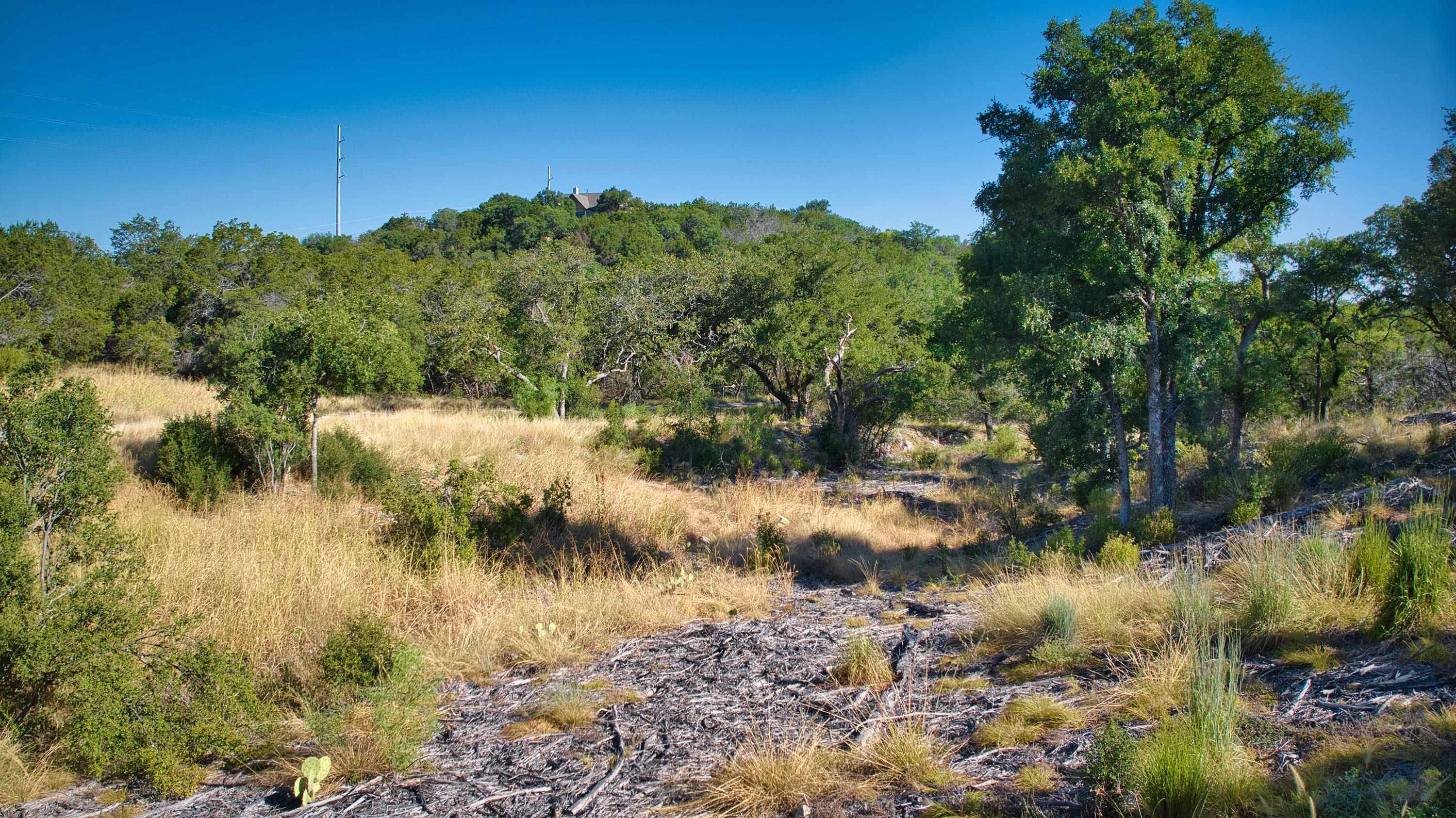 K12118 Buntline Special, Horseshoe Bay, TX 78657
