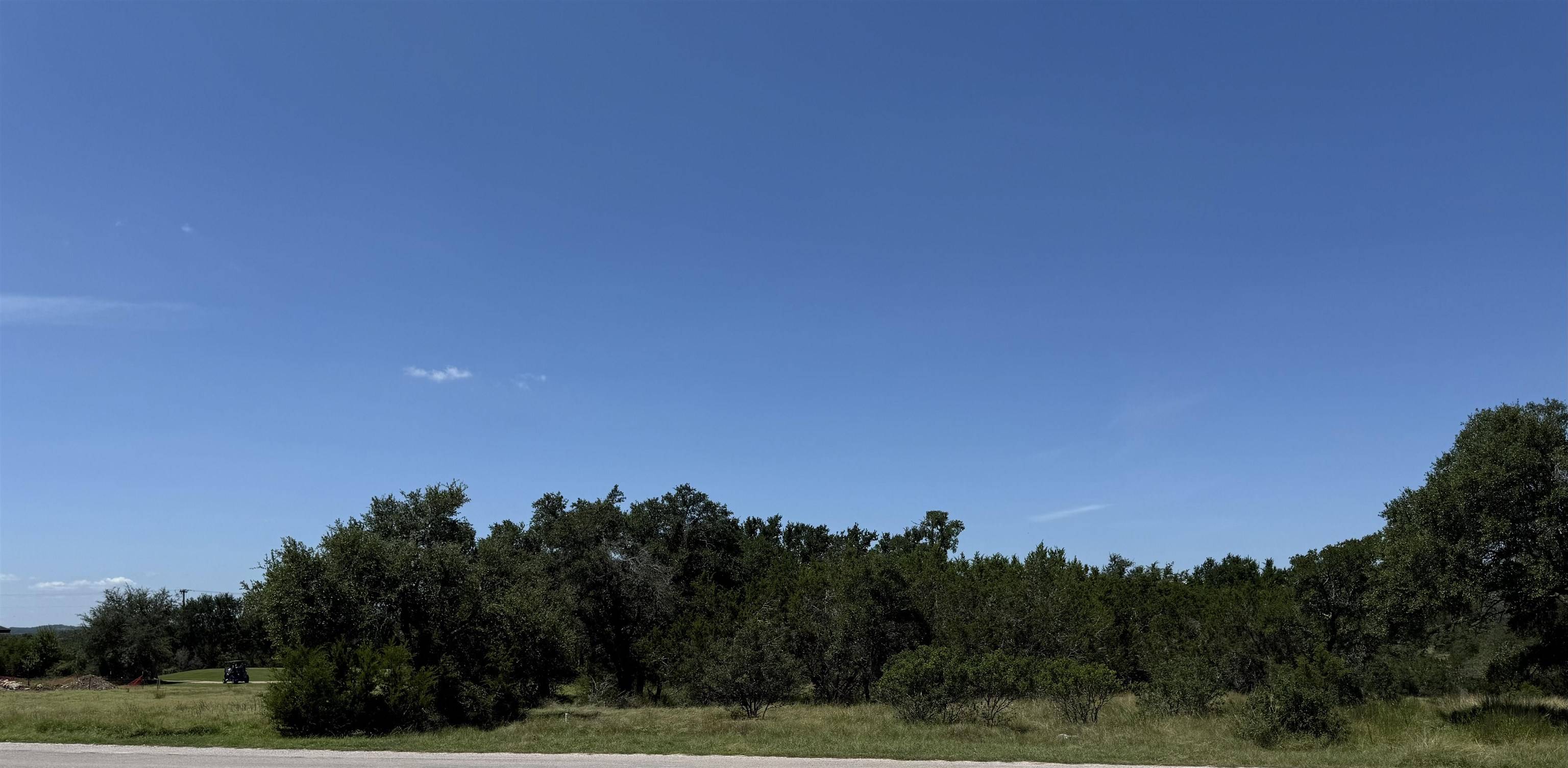113 N John Bird ST, Blanco, TX 78606