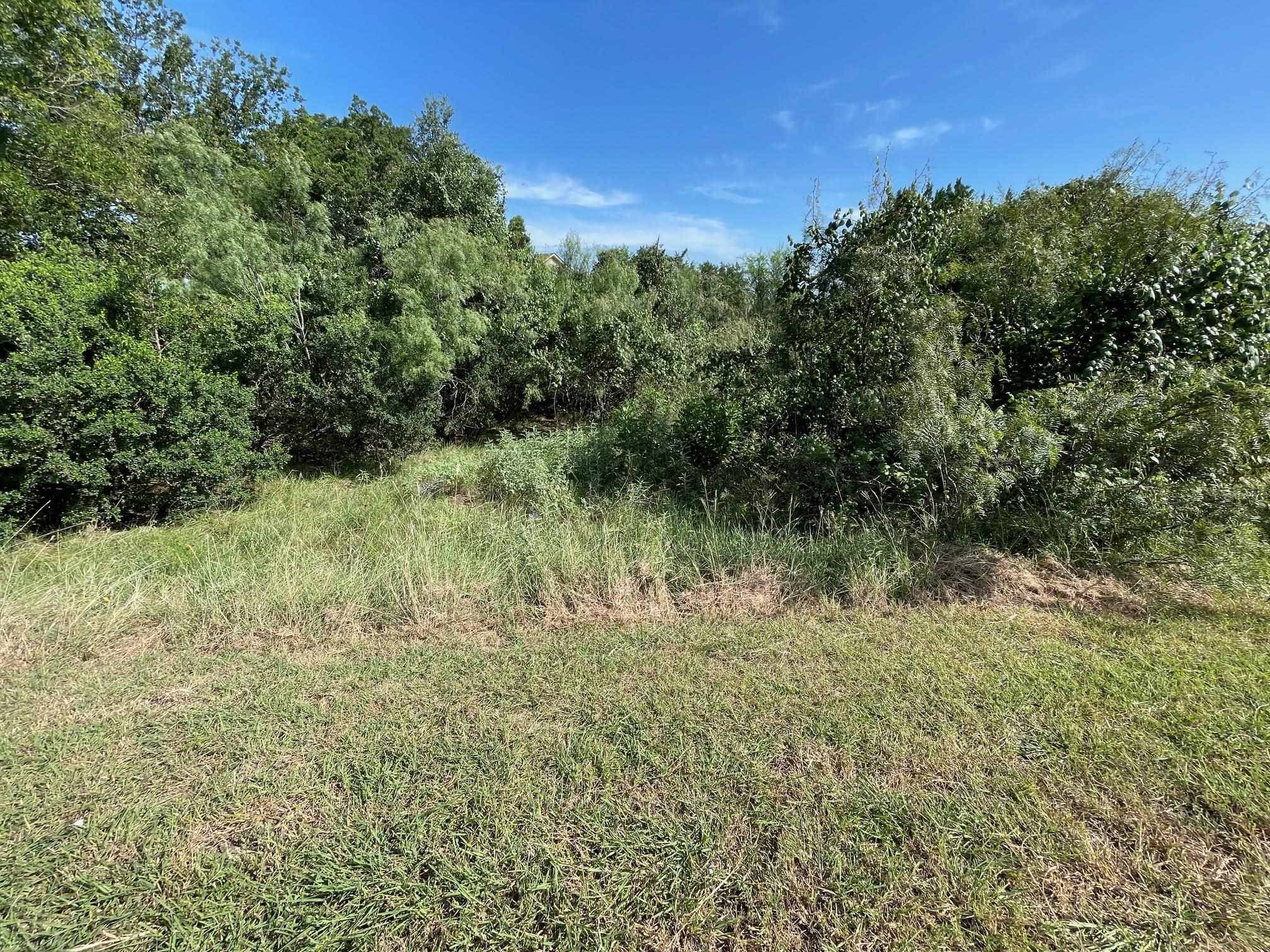 Lot 80 Wesley Ridge DR, Spicewood, TX 78669-7704