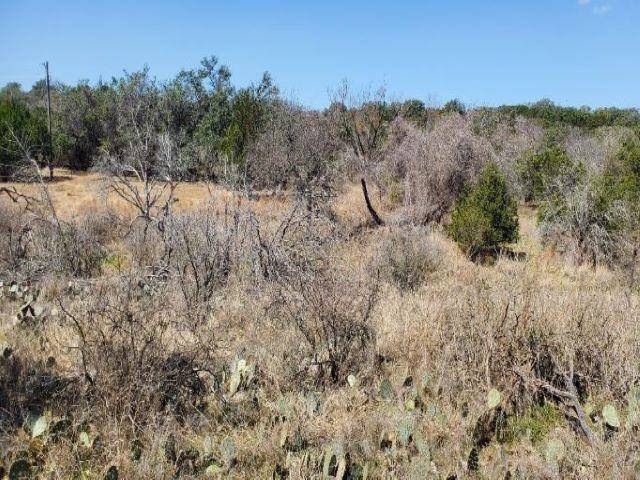 Lot 10203 Lilley Langtry, Horseshoe Bay, TX 78657-0000