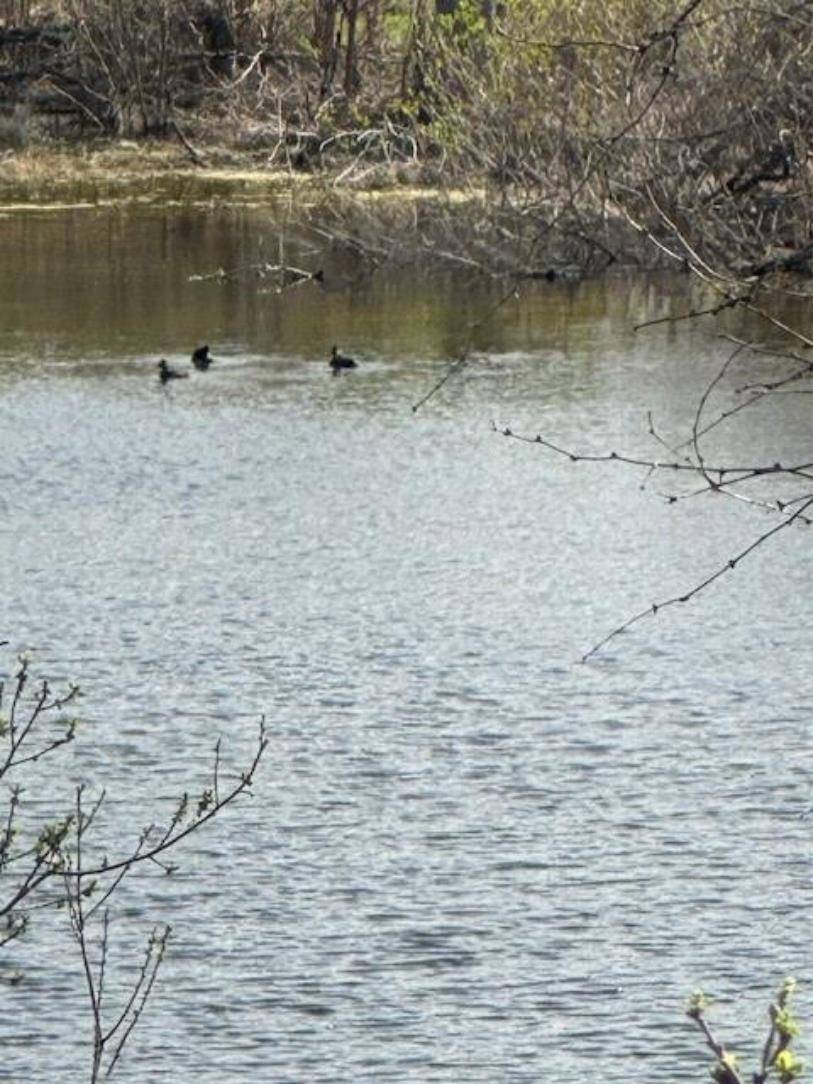 Lot K8023 Dew Drop, Horseshoe Bay, TX 78657