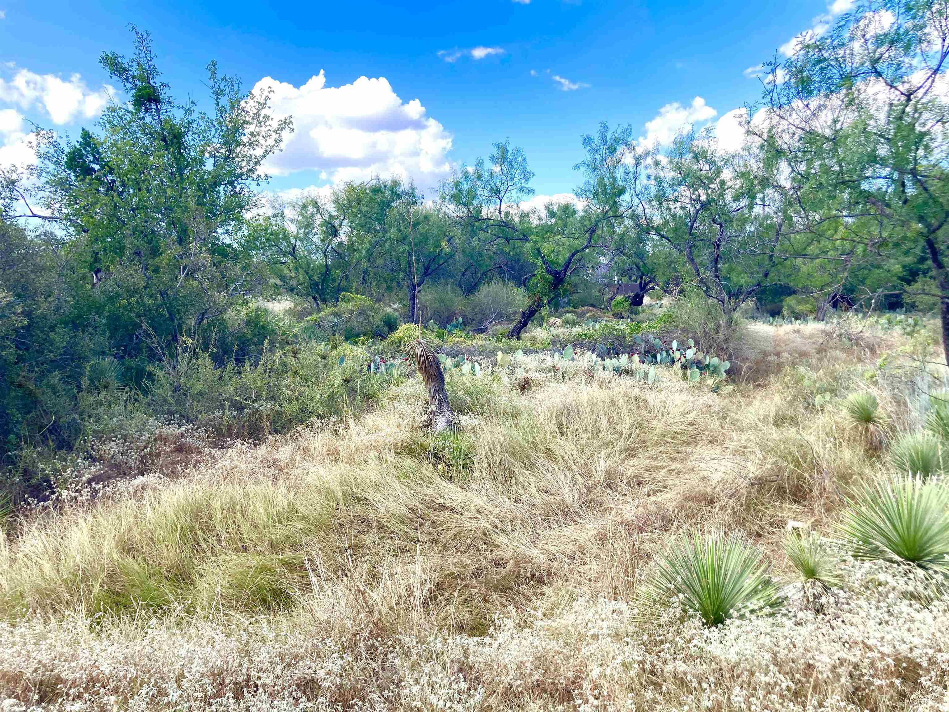 Lots 543 & 544 HILLDALE, Granite Shoals, TX 78654