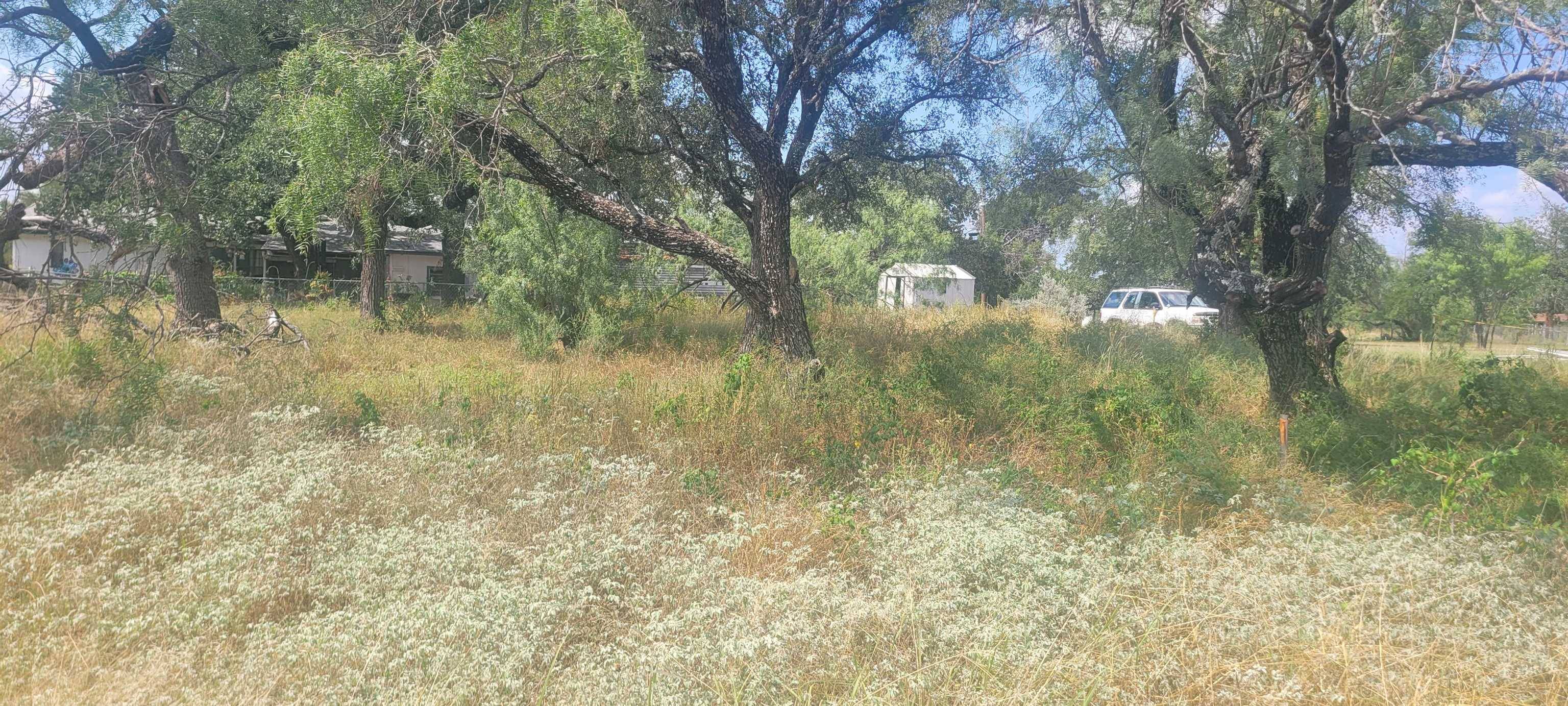 TBD Kingsmoon DR, Granite Shoals, TX 78654