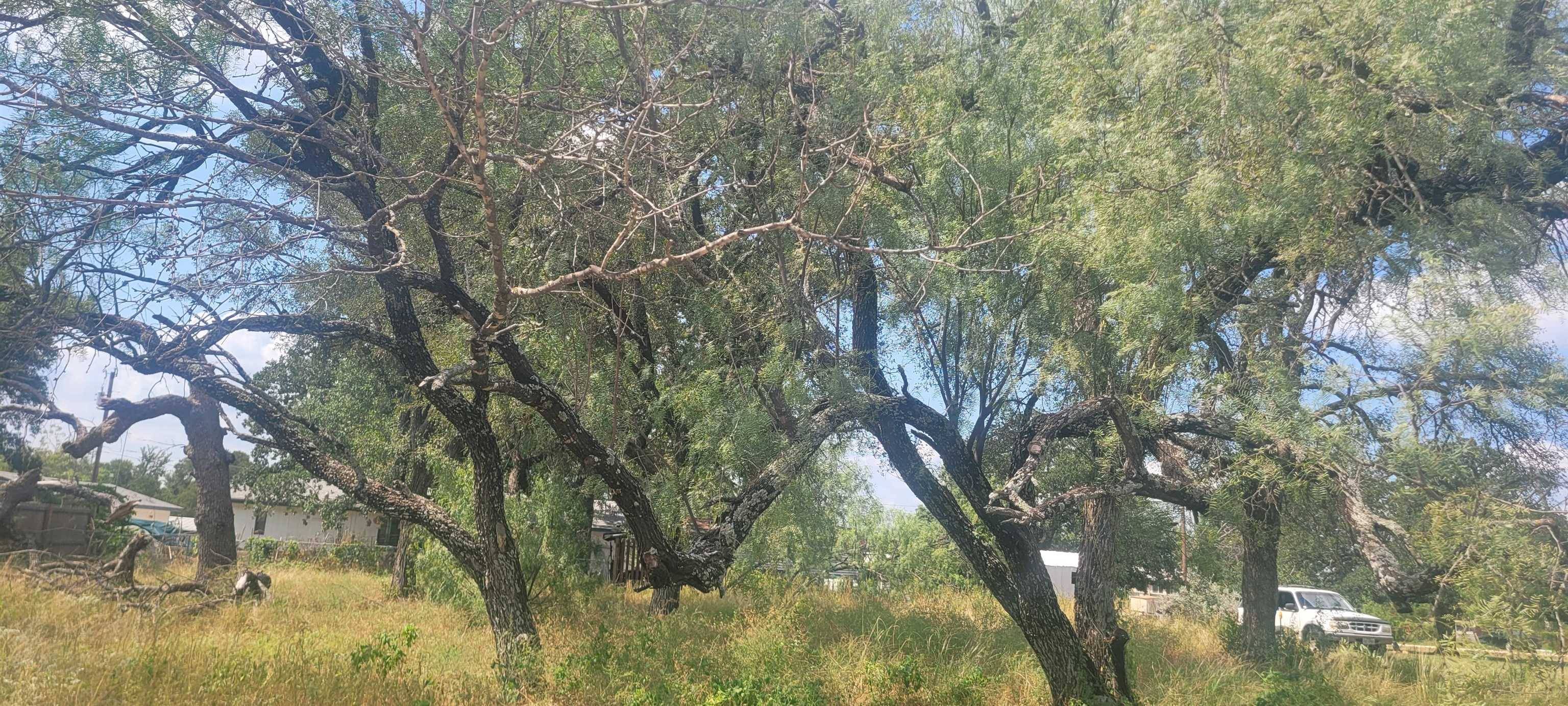 TBD Kingsmoon DR, Granite Shoals, TX 78654
