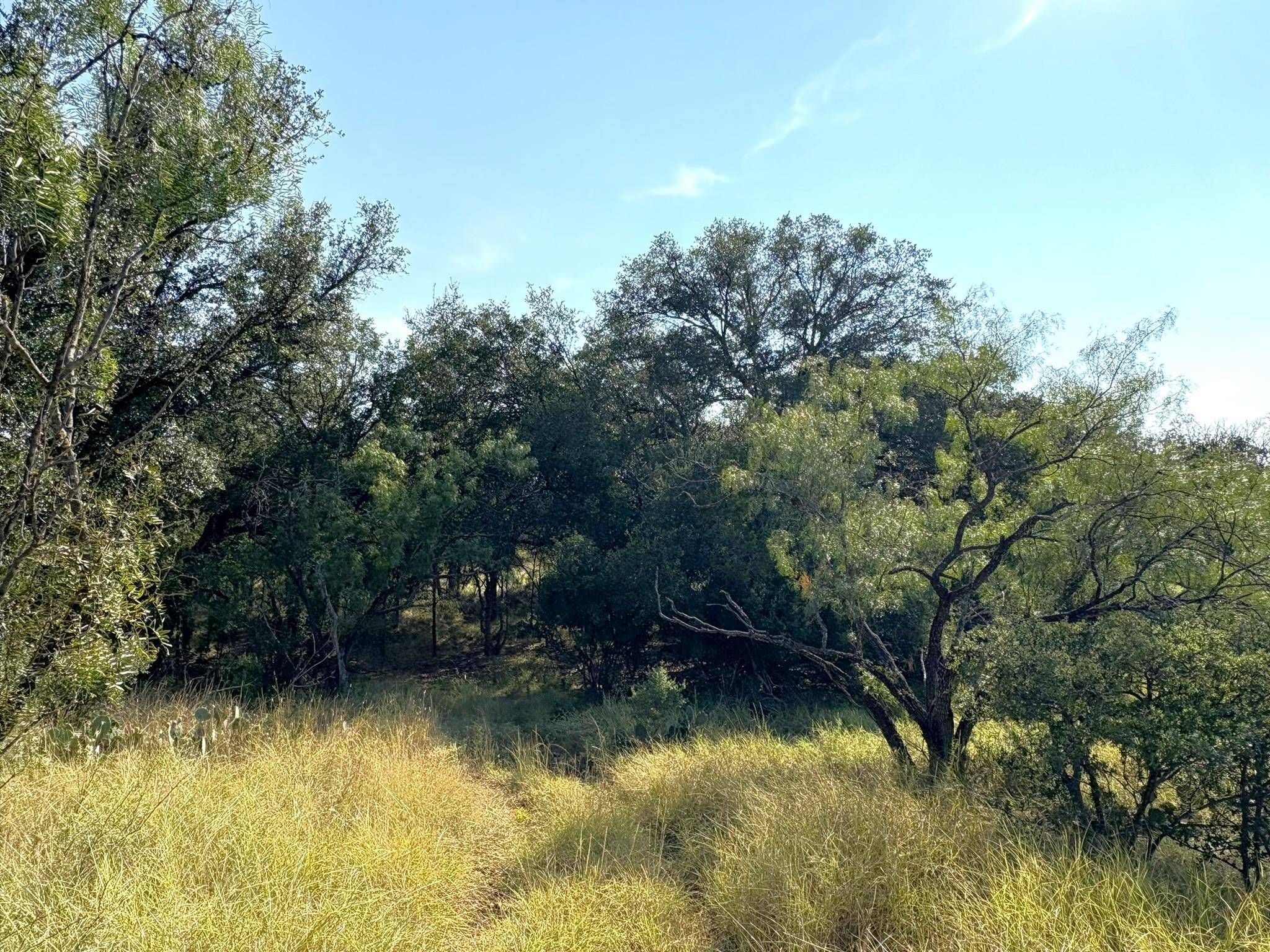 TBD - Lot 3 Sandy Mountain Dr, Sunrise Beach, TX 78643