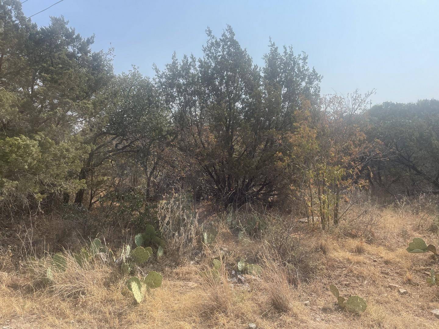 00 Radium, Burnet, TX 78611