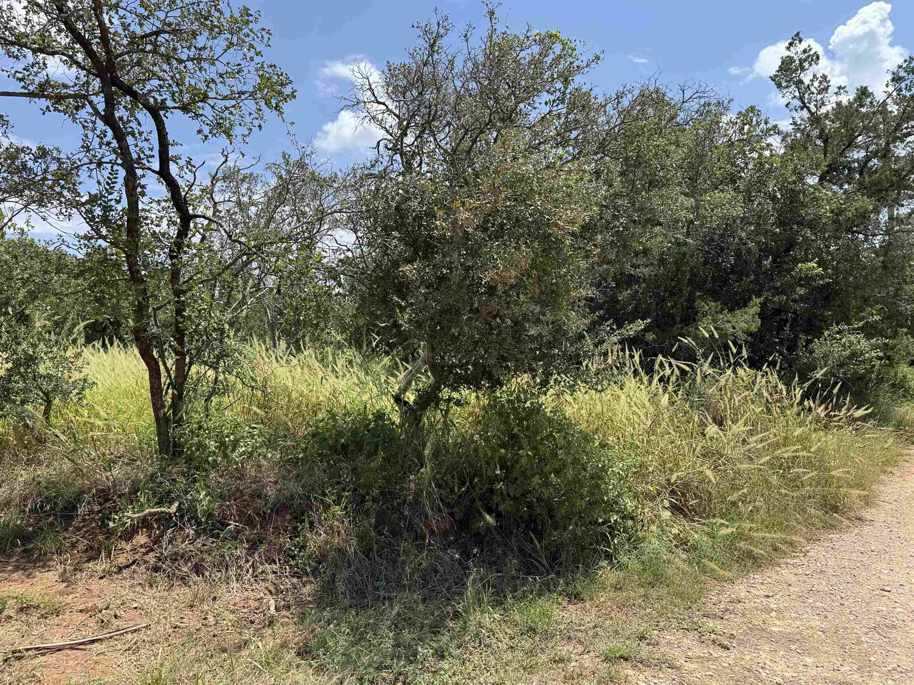 00 Radium, Burnet, TX 78611
