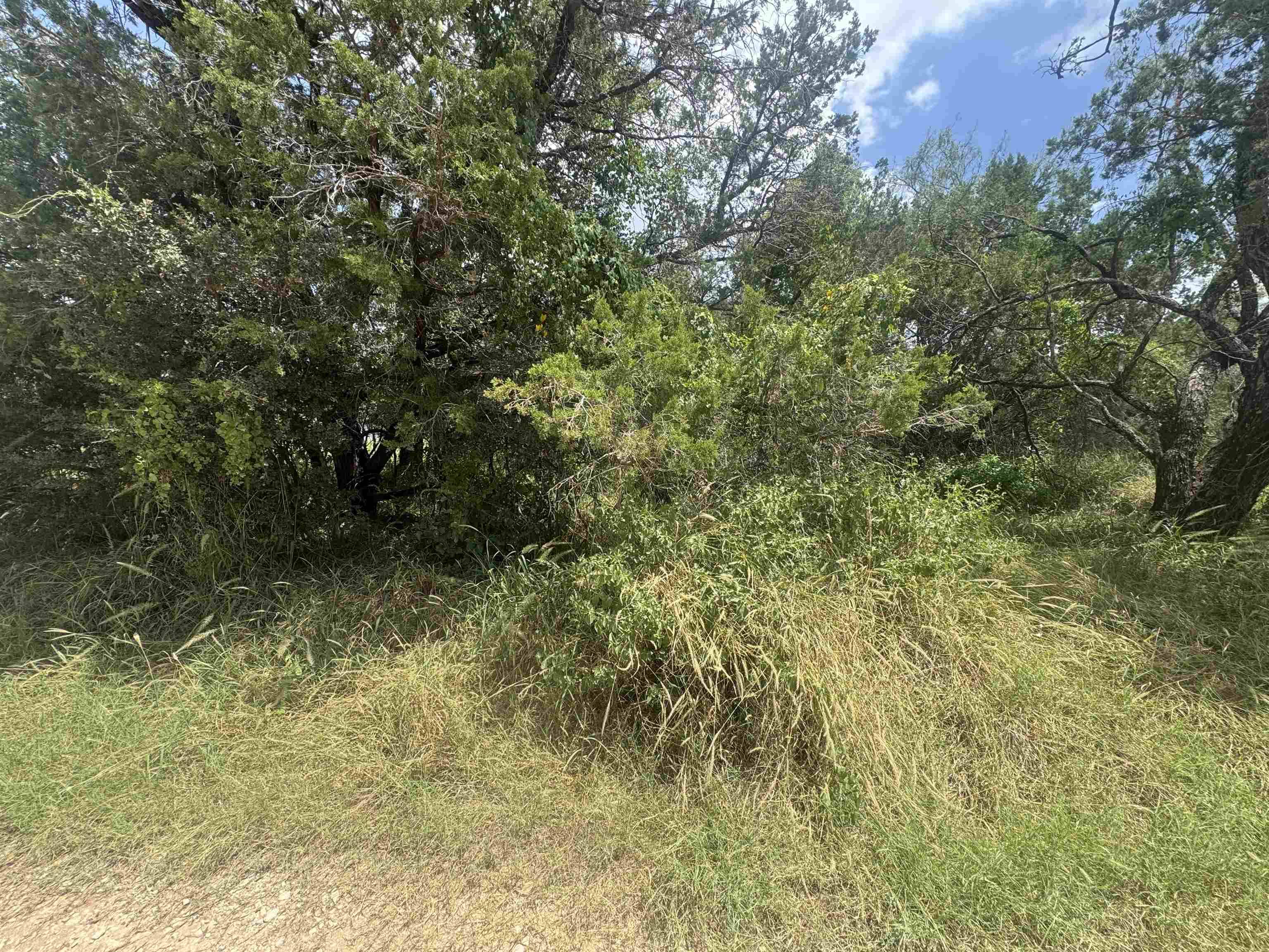 00 Radium, Burnet, TX 78611
