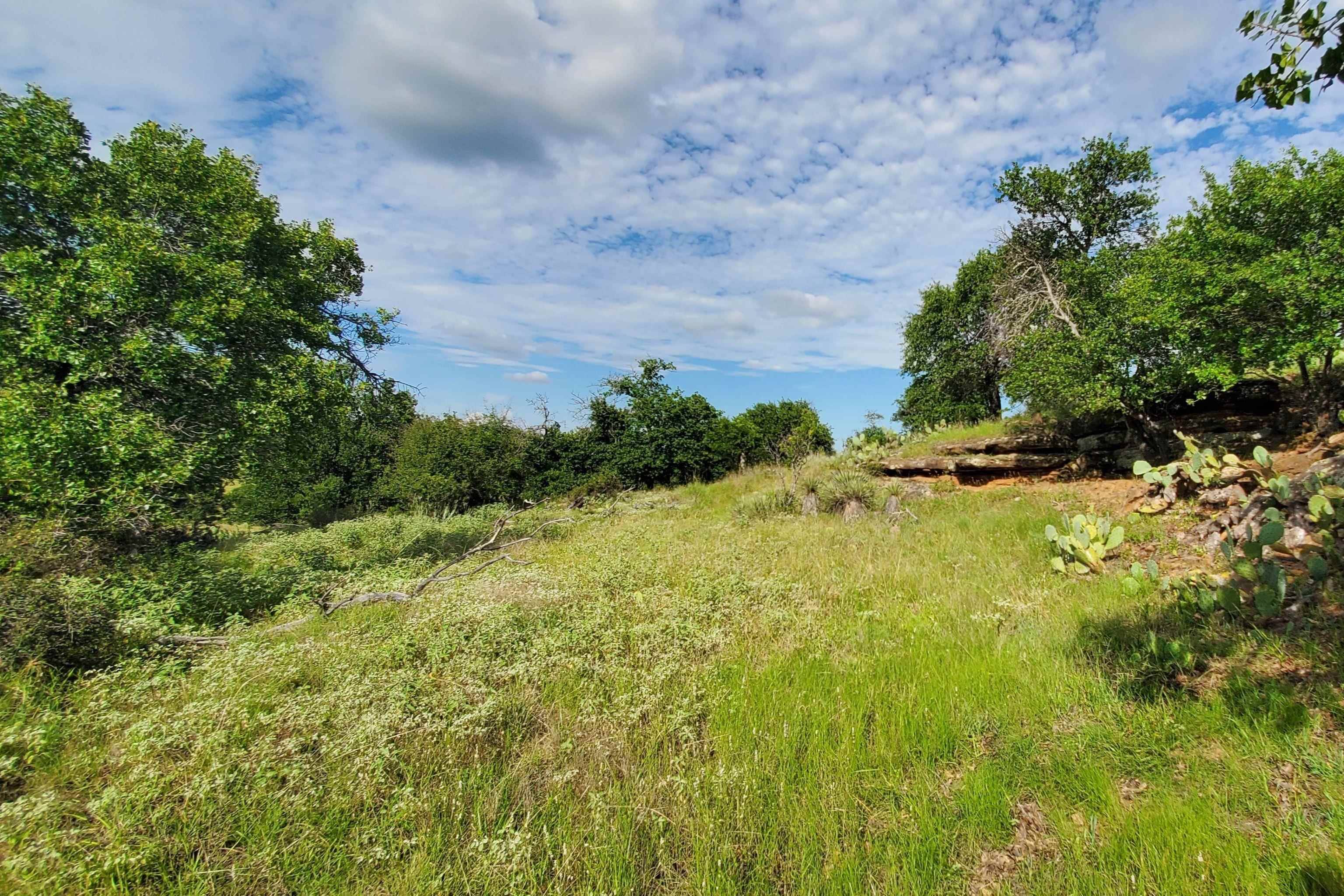 TBD CR 411B, Pontotoc, TX 76869