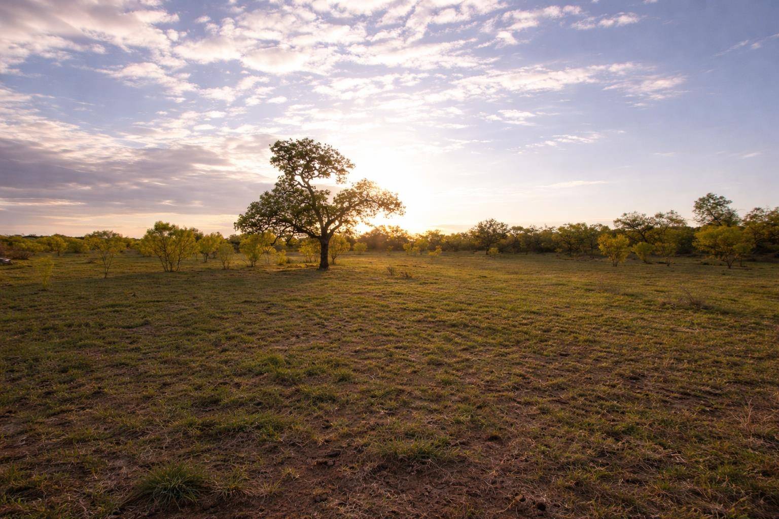 2976 Lower Willow Creek RD, Art, TX 76820-0000