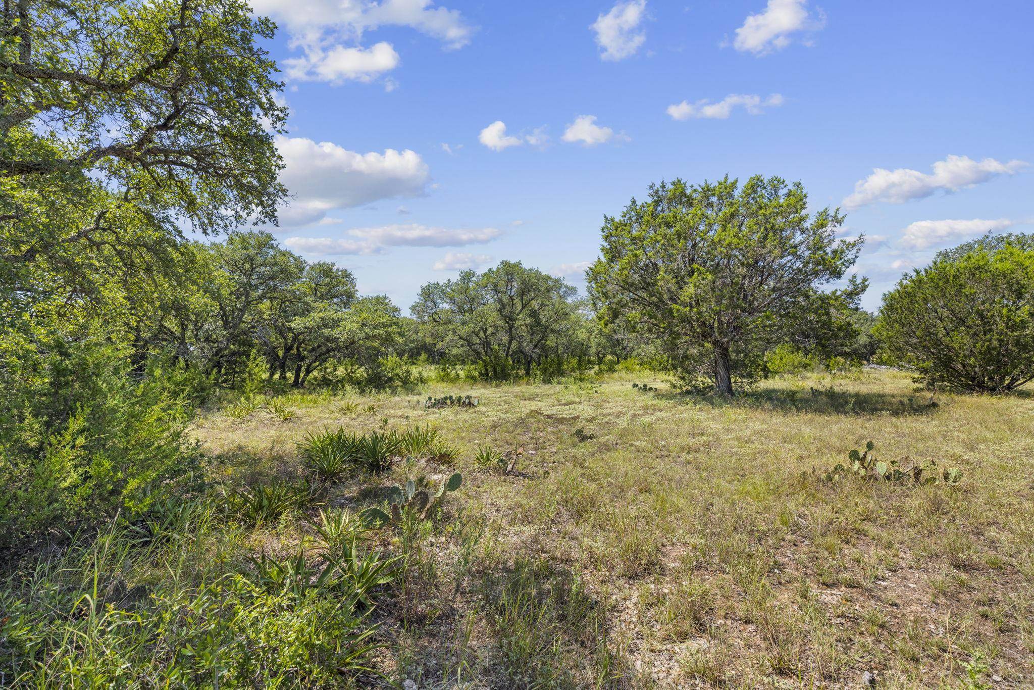 Lot 170 Heartleaf DR, Lampasas, TX 76550