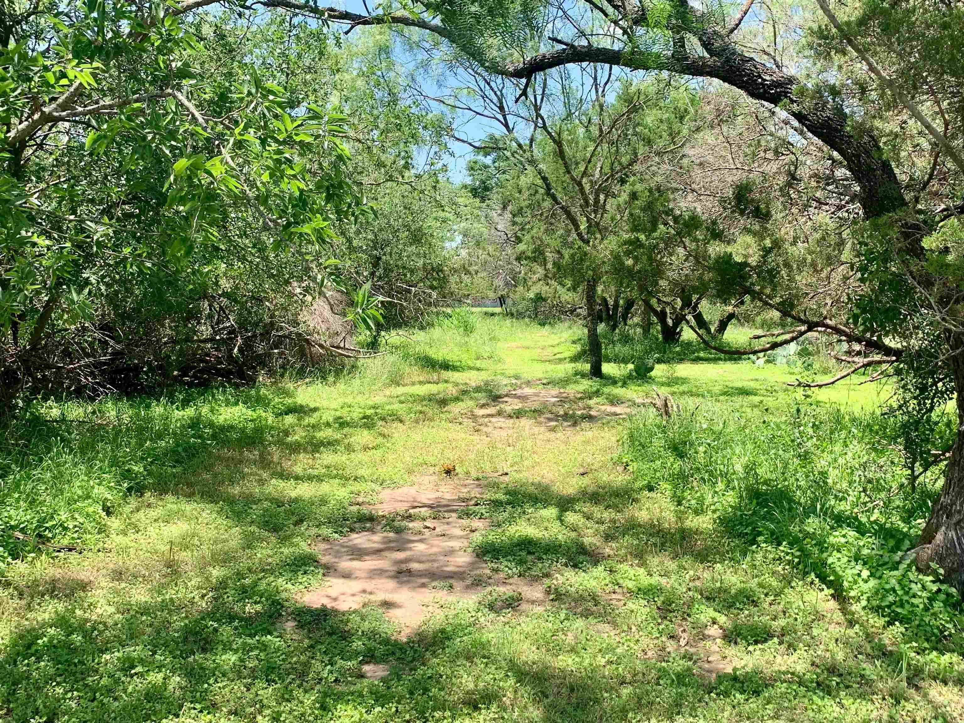Lot 520 Aspen LN, Cottonwood Shores, TX 78657