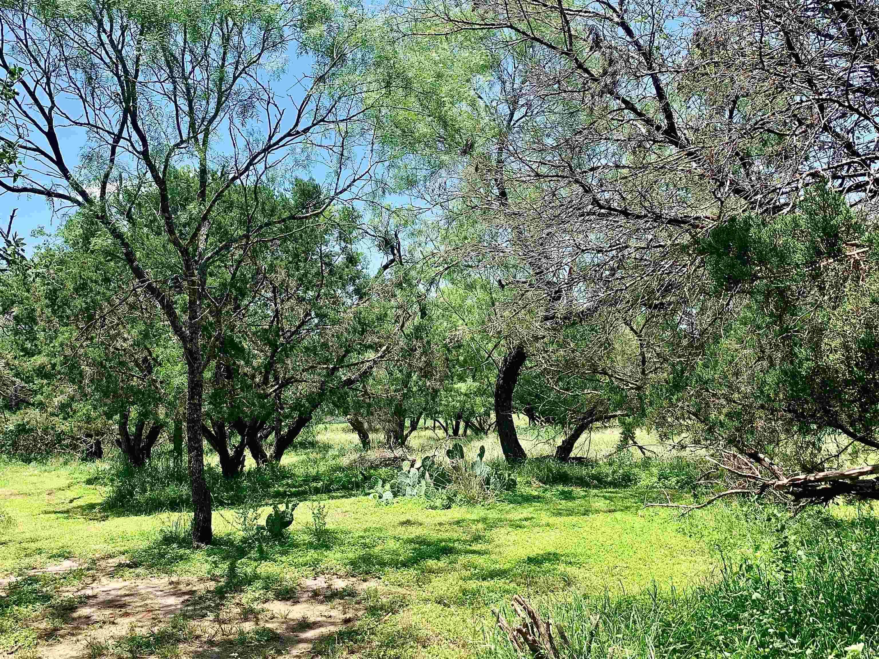 Lot 520 Aspen LN, Cottonwood Shores, TX 78657