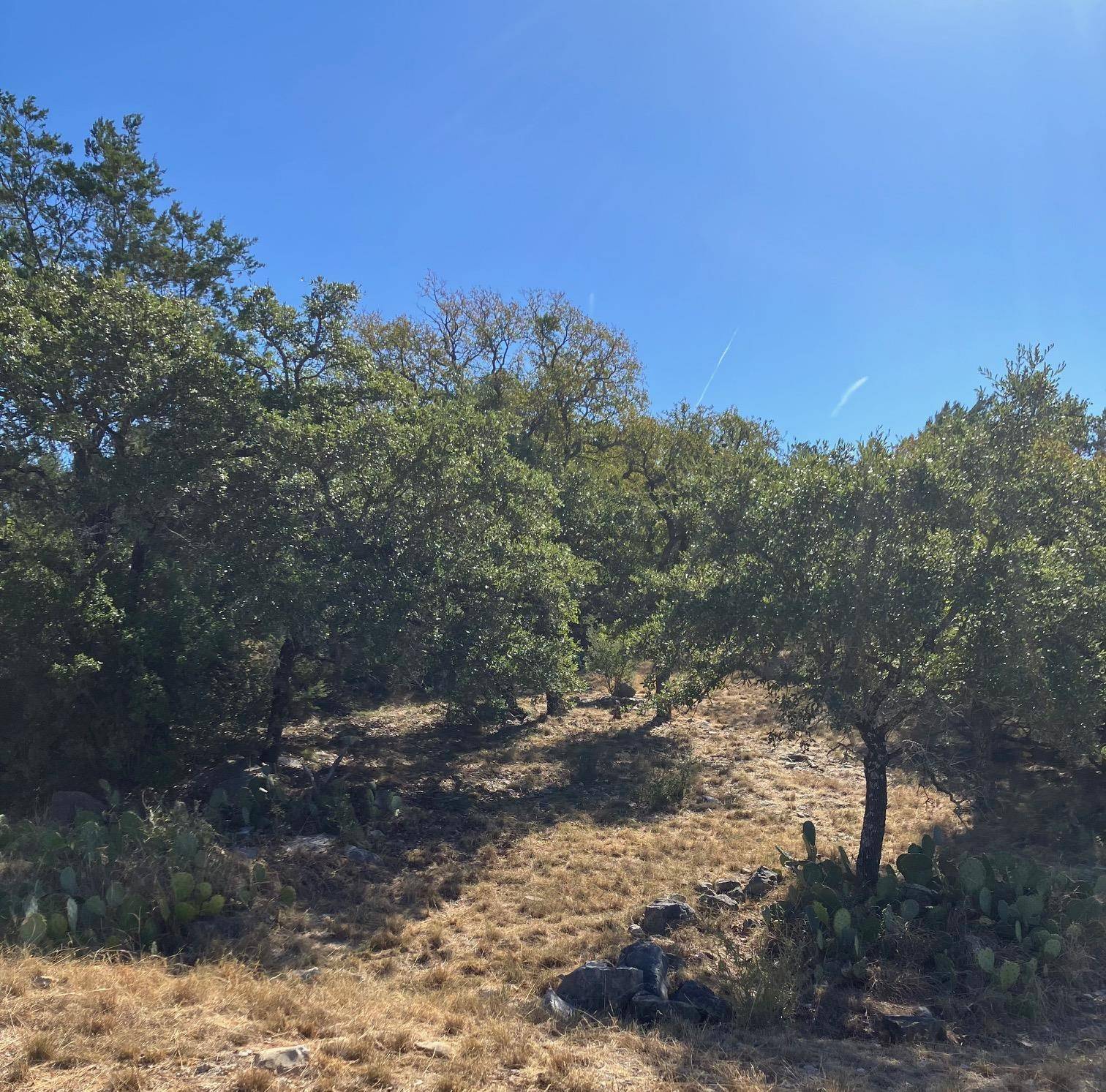 405 Yucca at Quick Draw, Horseshoe Bay, TX 78657