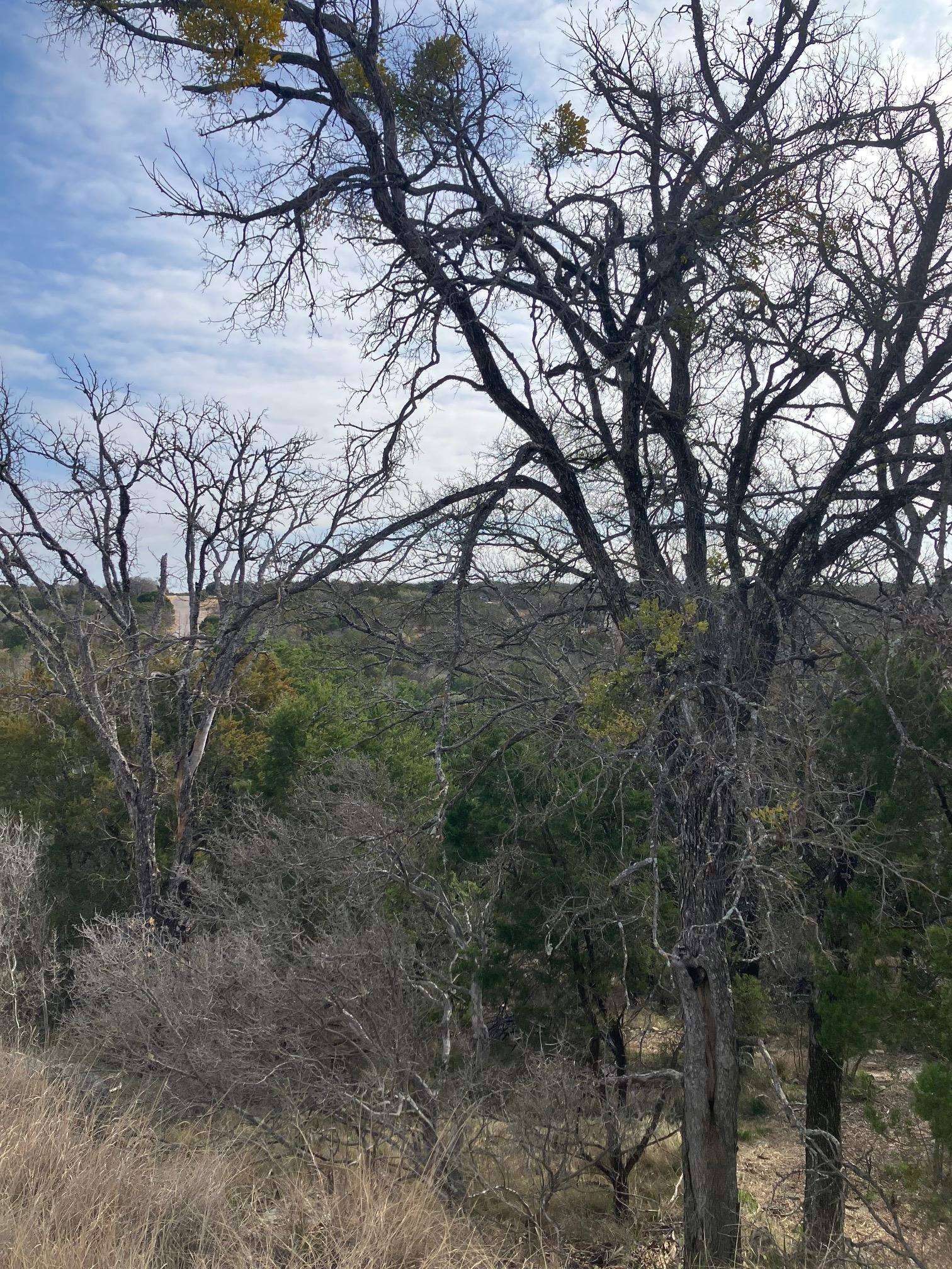 Lot 27125 Hi Mesa, Horseshoe Bay, TX 78657