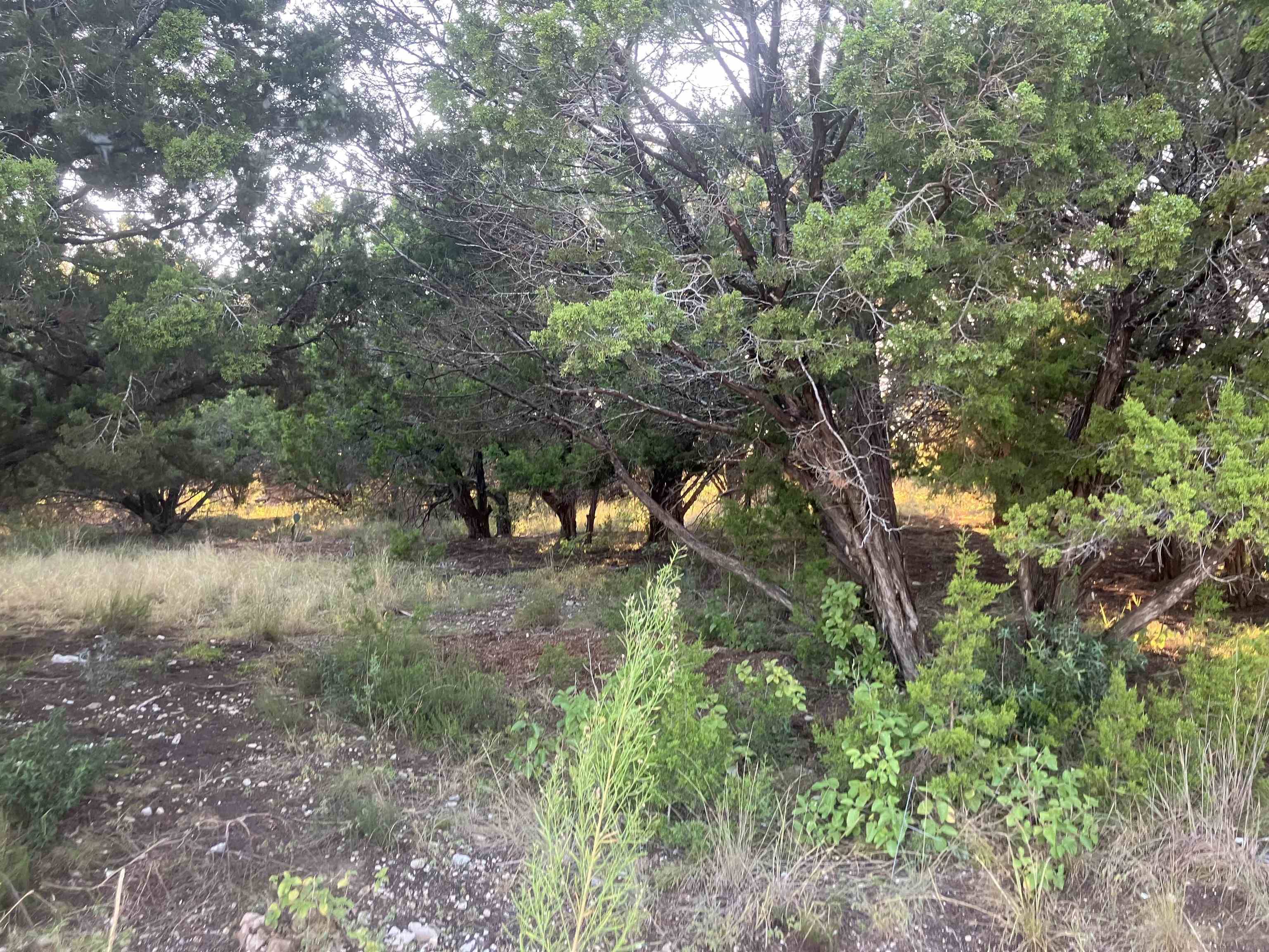 3108 Burnside Circle, Lago Vista, TX 78645