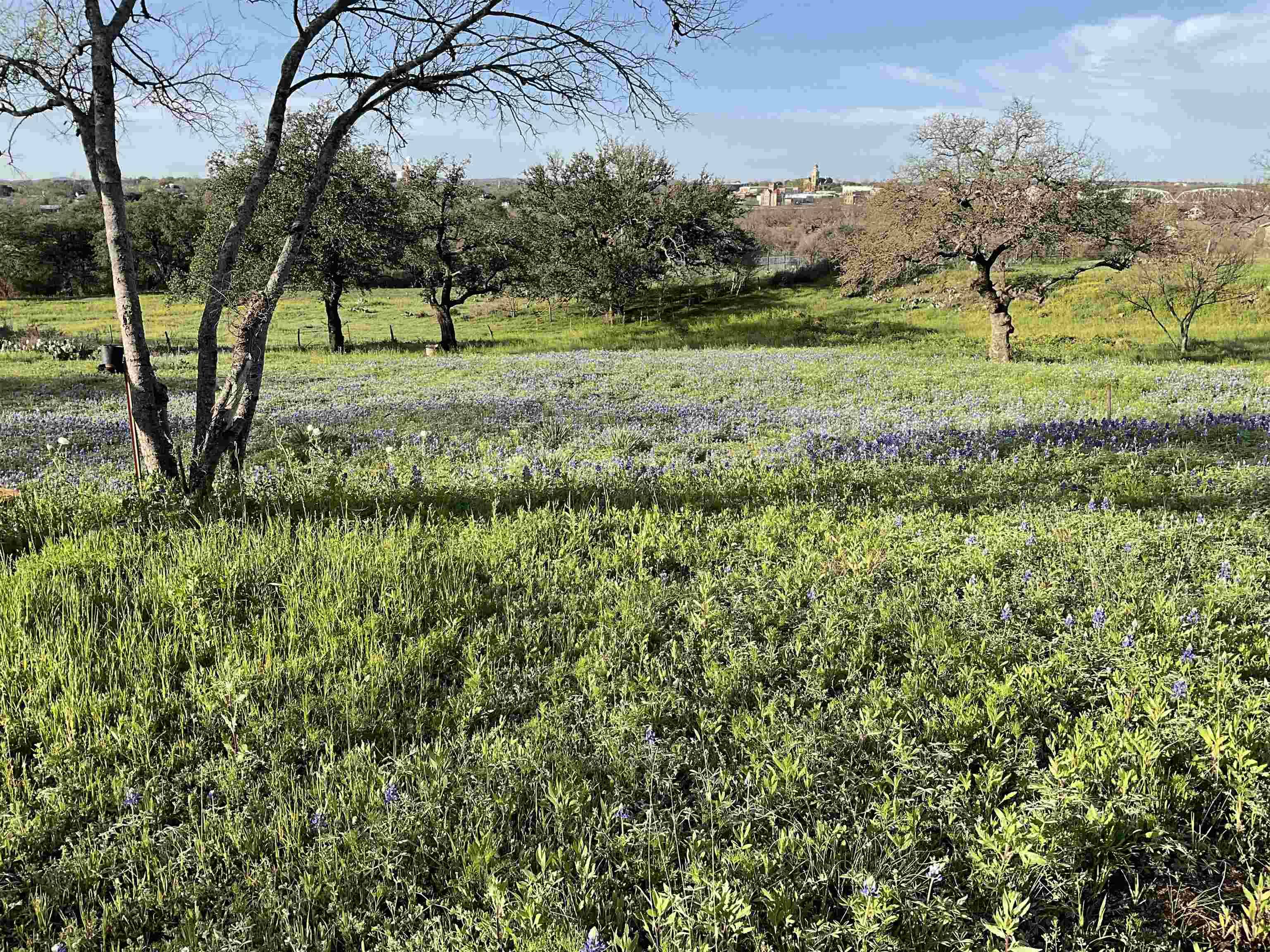 E Tarrant ST, Llano, TX 78643-0000
