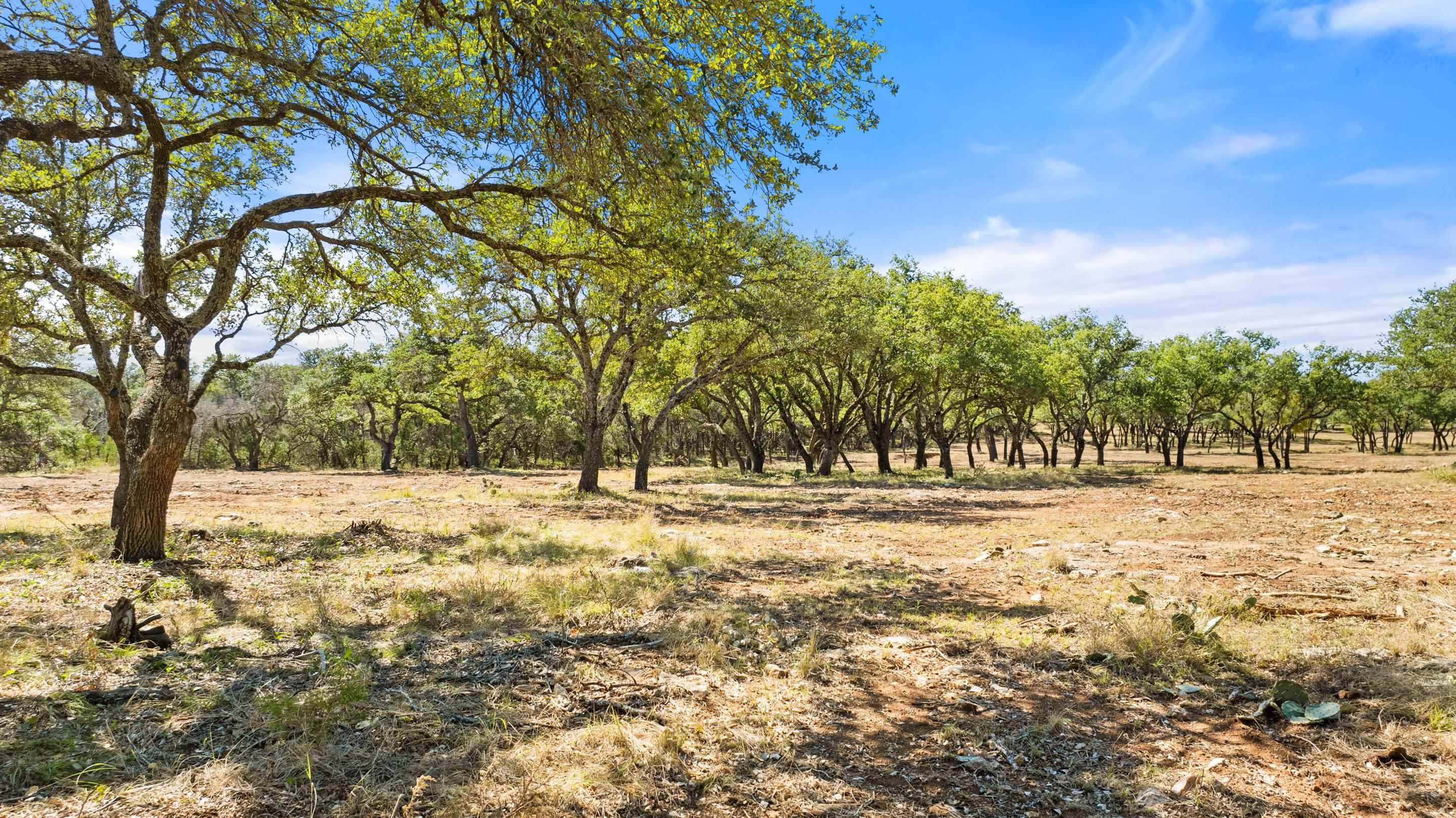 2560 Towhead Valley RD, Johnson City, TX 78636