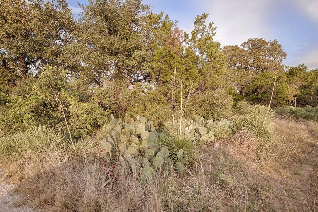 Lots 39 & 40 Clover ST, Kingsland, TX 78639