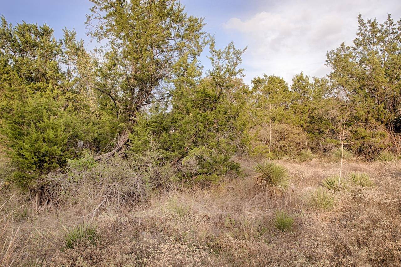 Lots 39 & 40 Clover ST, Kingsland, TX 78639