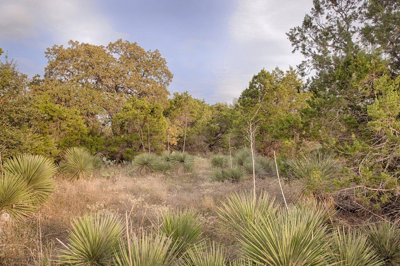 Lots 39 & 40 Clover ST, Kingsland, TX 78639