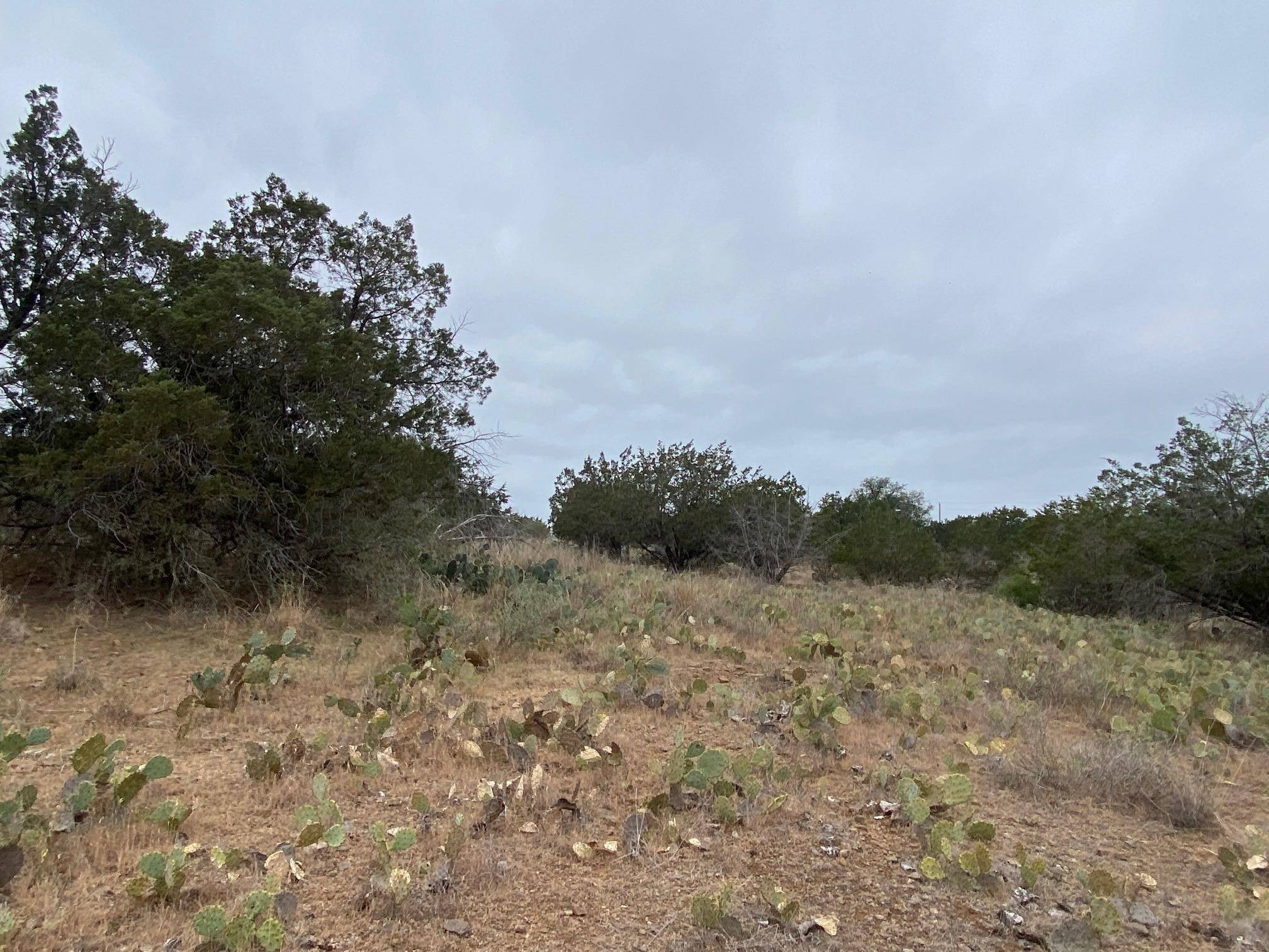 Lot 22 CR 140, Burnet, TX 78611