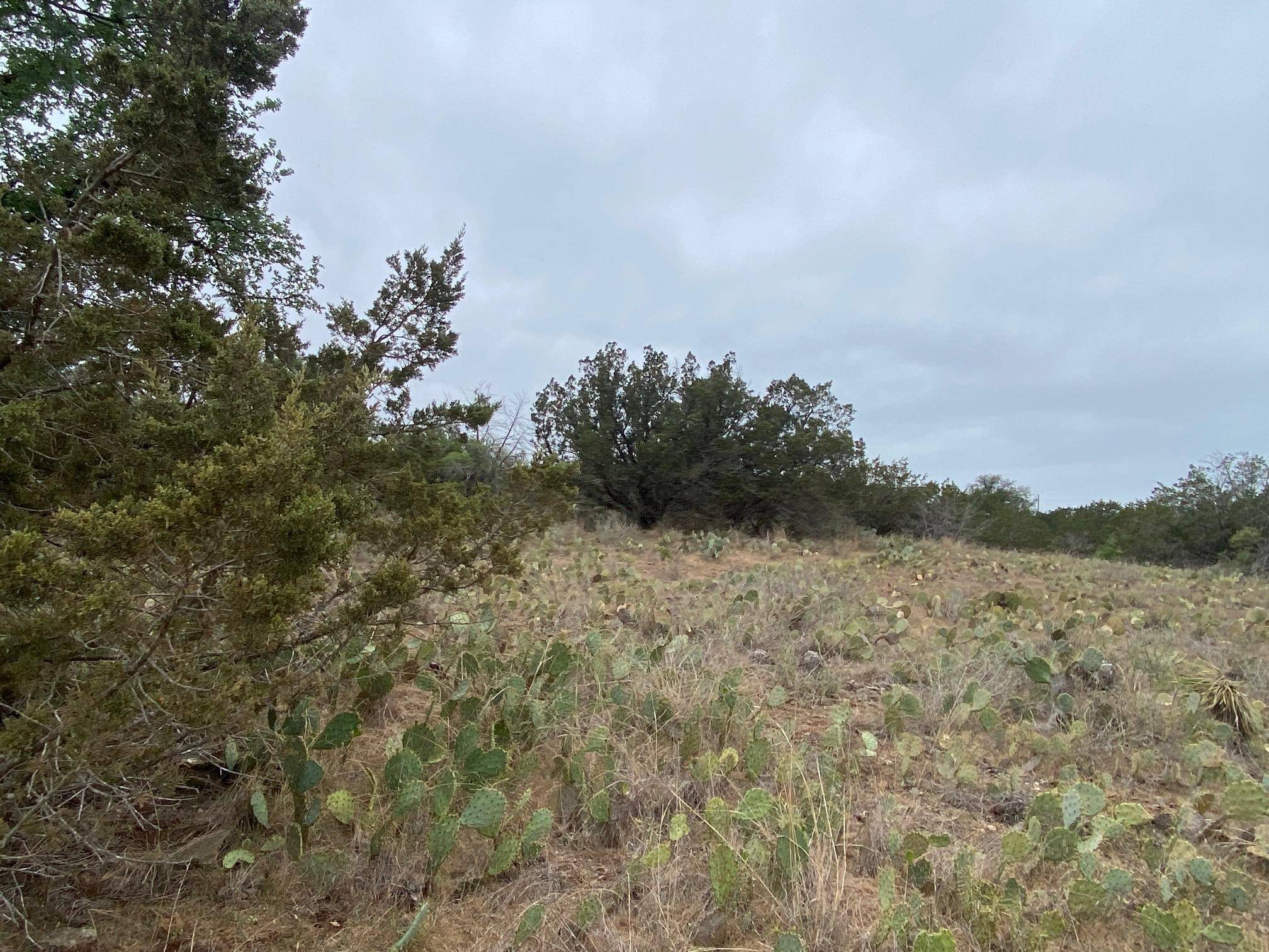 Lot 22 CR 140, Burnet, TX 78611