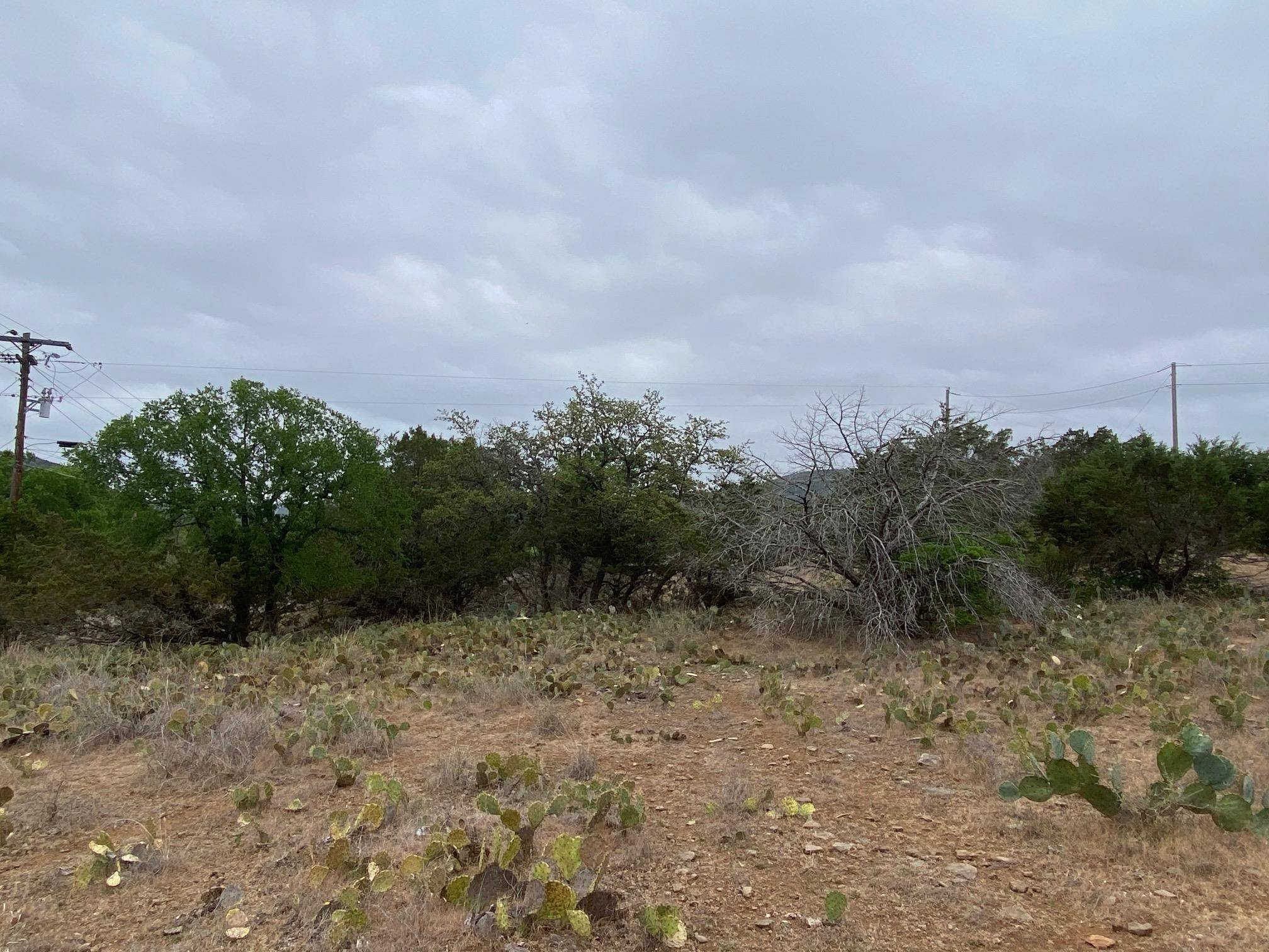 Lot 22 CR 140, Burnet, TX 78611