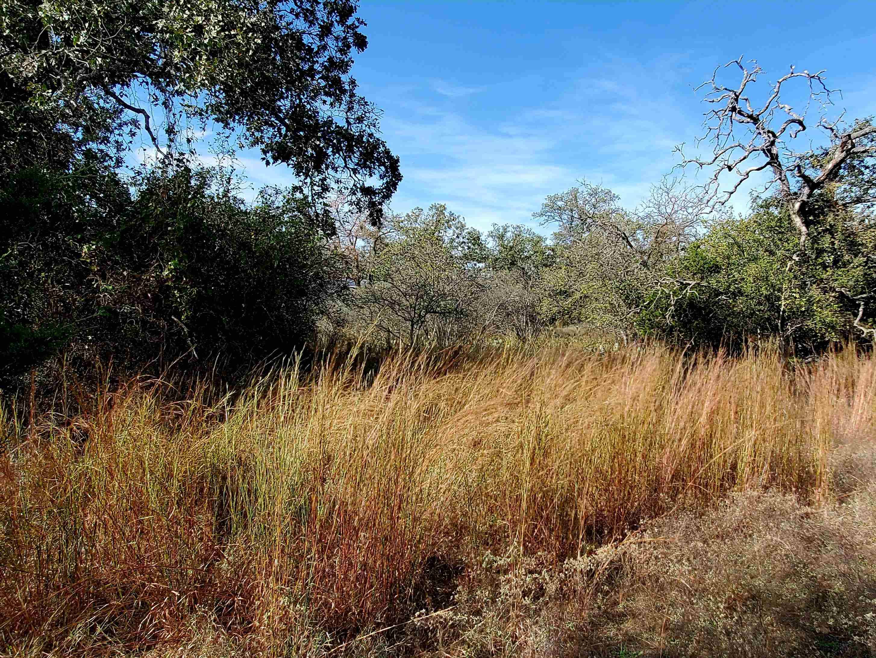 TBD Drake, Kingsland, TX 78639