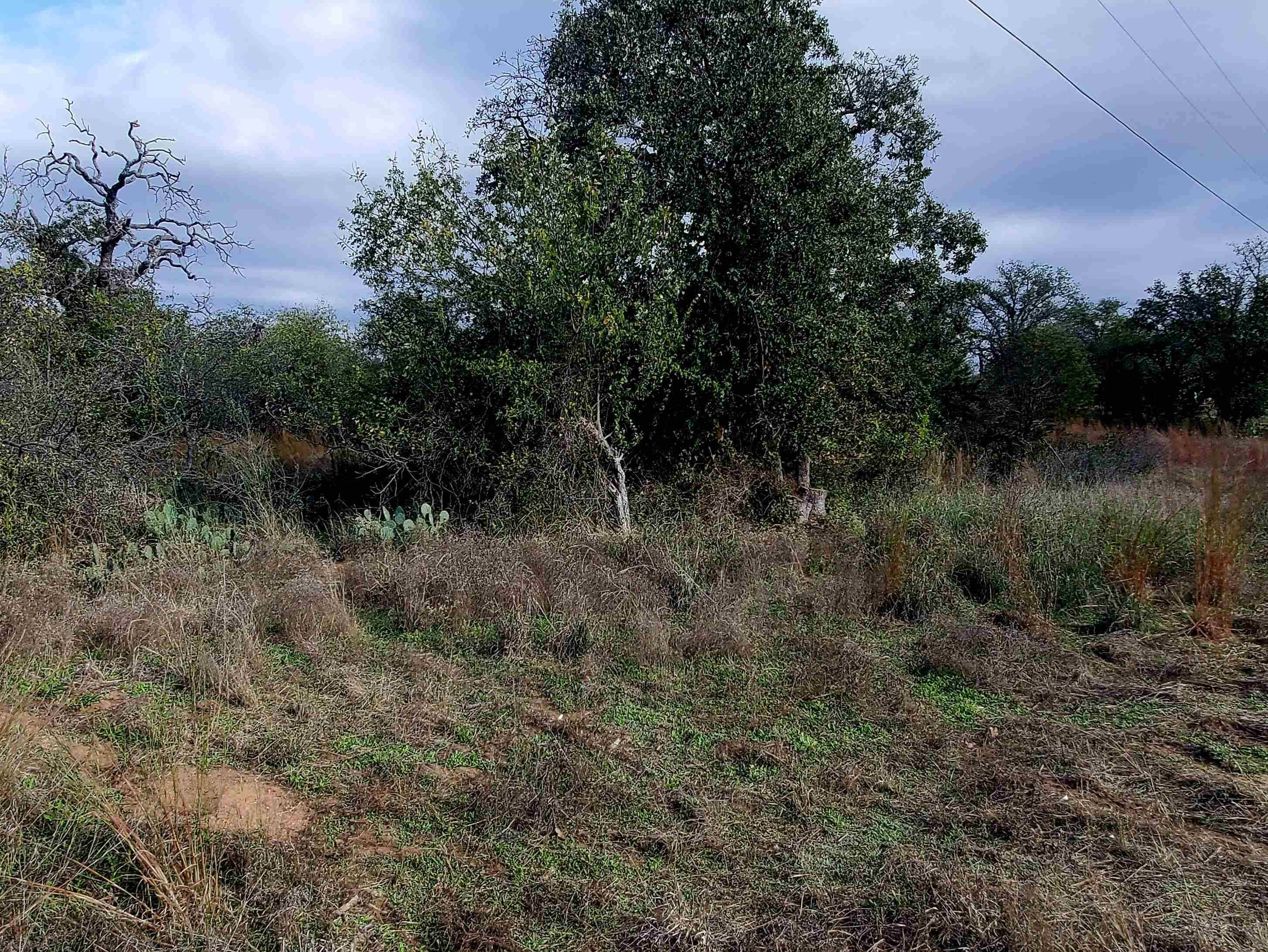 TBD Drake, Kingsland, TX 78639