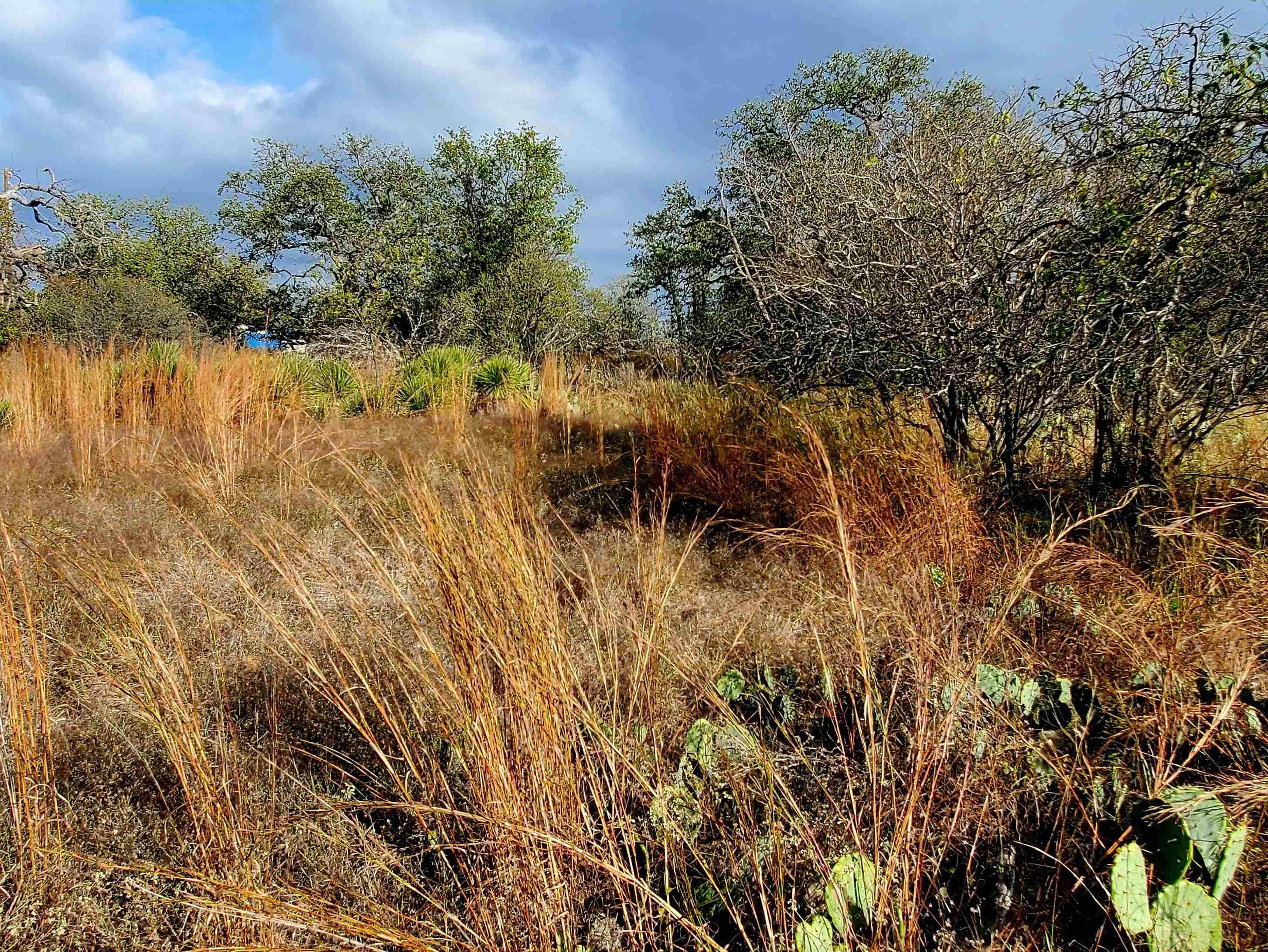 TBD Drake, Kingsland, TX 78639