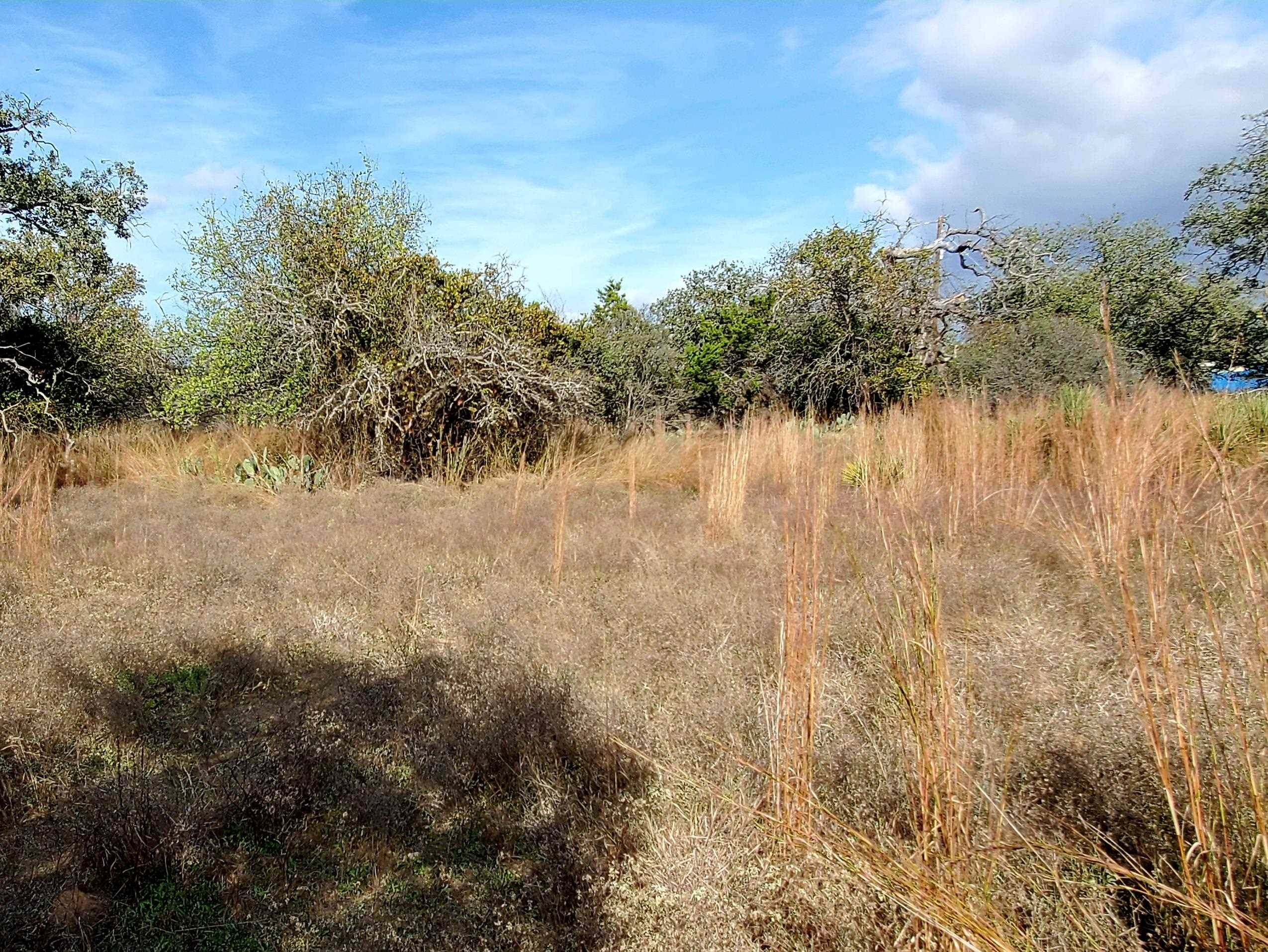 TBD Drake, Kingsland, TX 78639