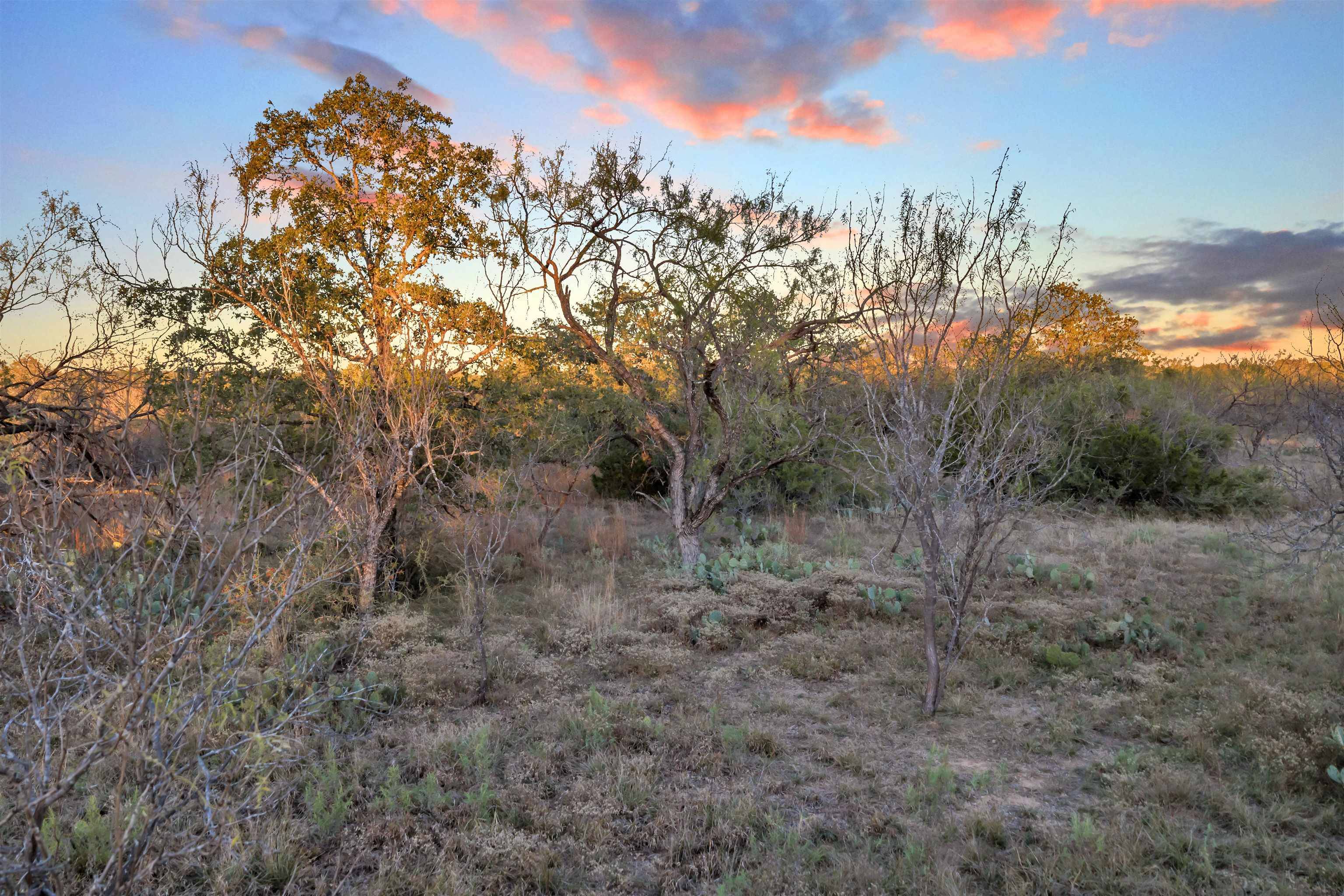 LT 109 Quail TRL, Marble Falls, TX 78654