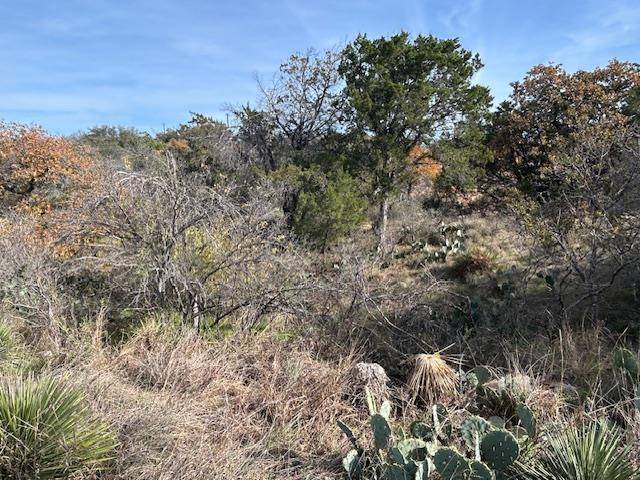 697 698 Castlehigh, Granite Shoals, TX 78654