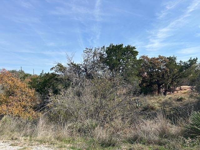 697 698 Castlehigh, Granite Shoals, TX 78654