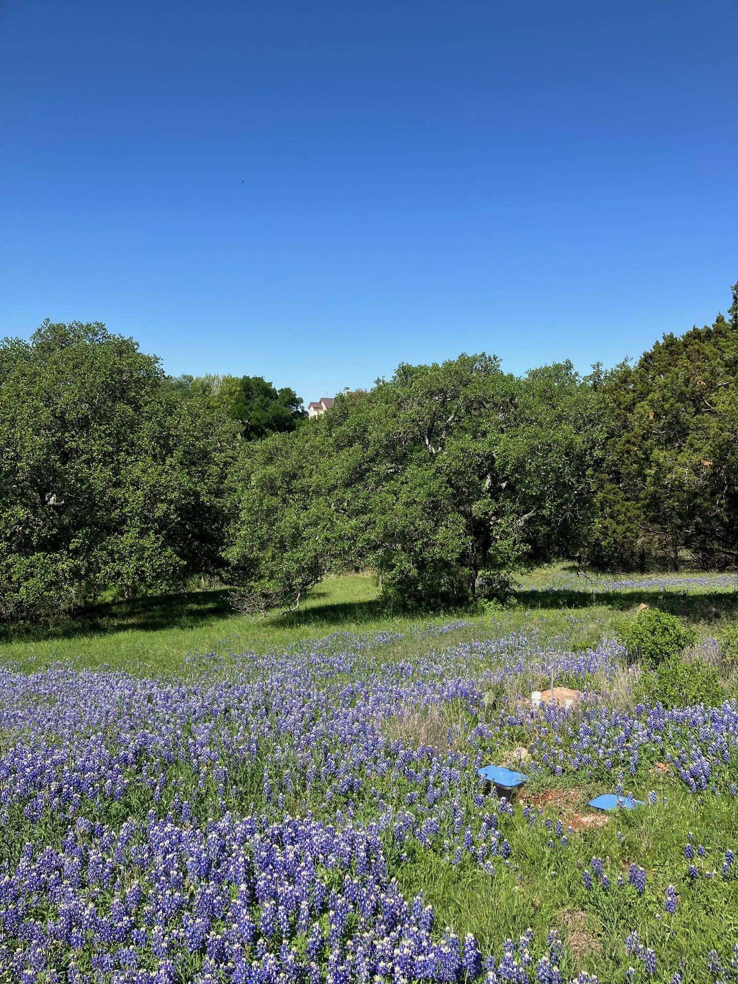 106 Ridgeway, Horseshoe Bay, TX 78657