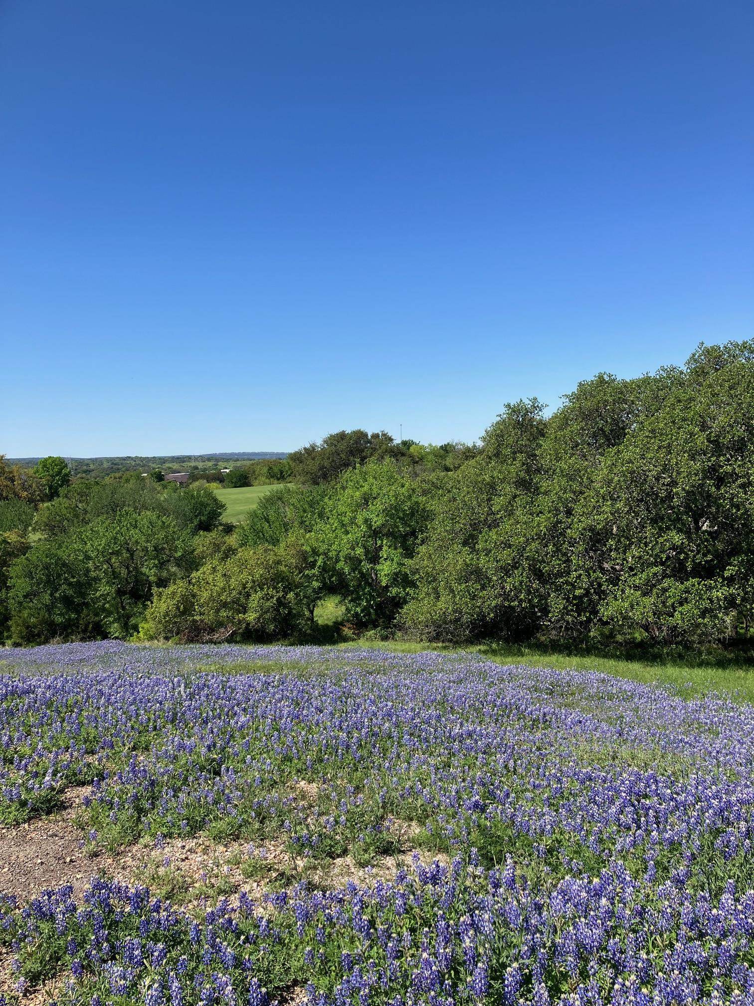 106 Ridgeway, Horseshoe Bay, TX 78657
