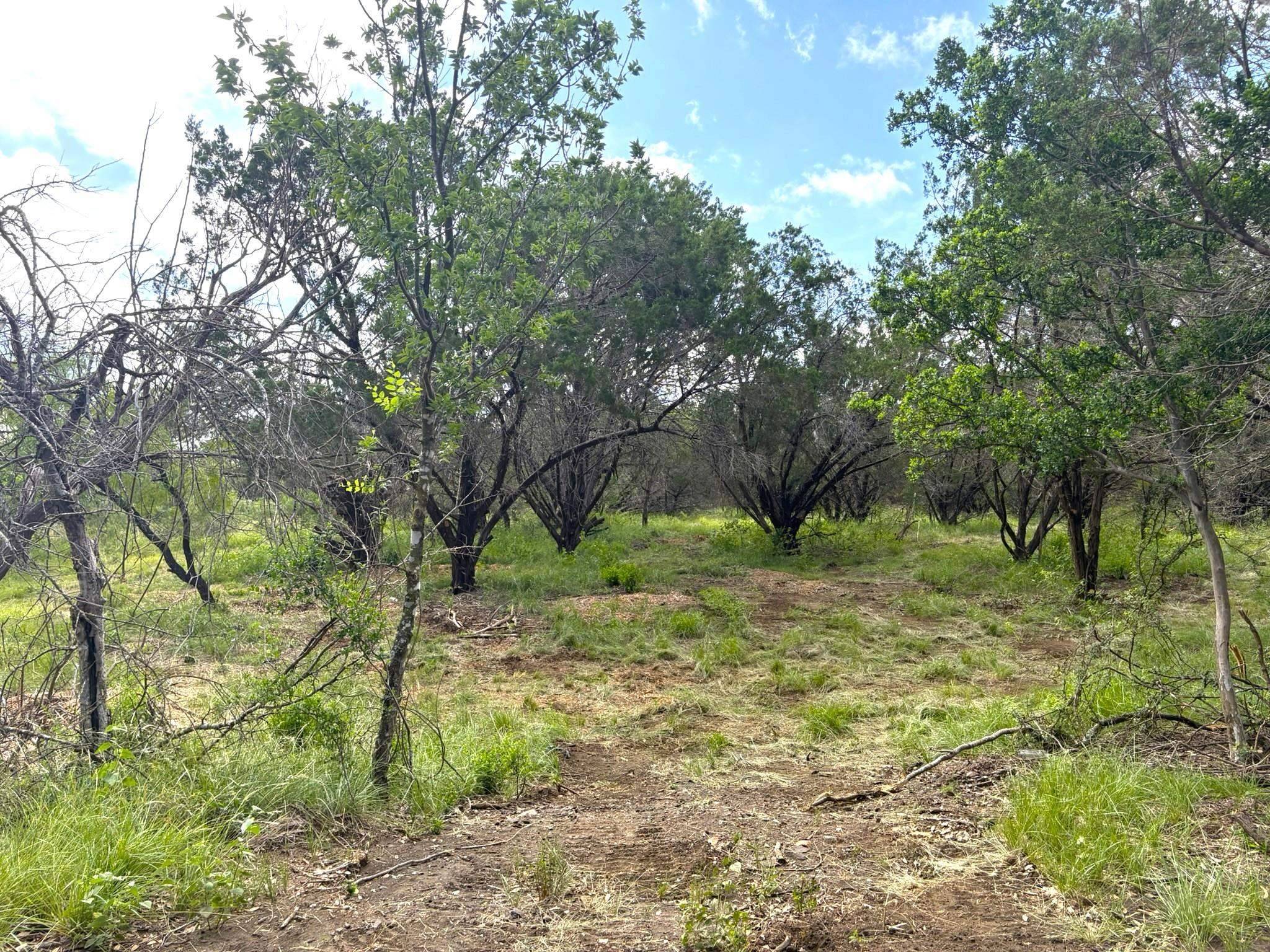 380 Sandy Mountain Dr, Sunrise Beach, TX 78643