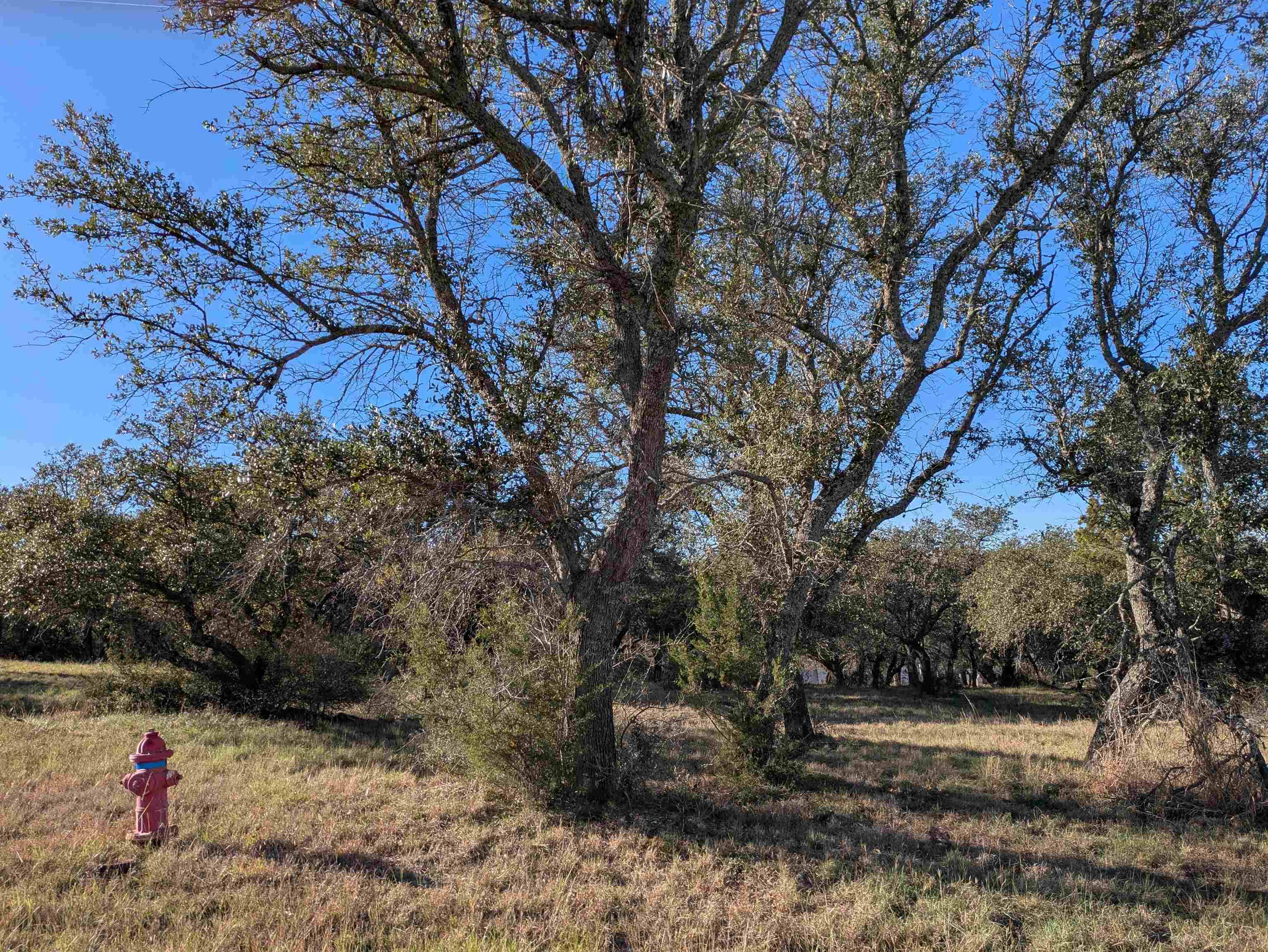 W35083 Mountain Home Lt W35083, Horseshoe Bay, TX 78657-00