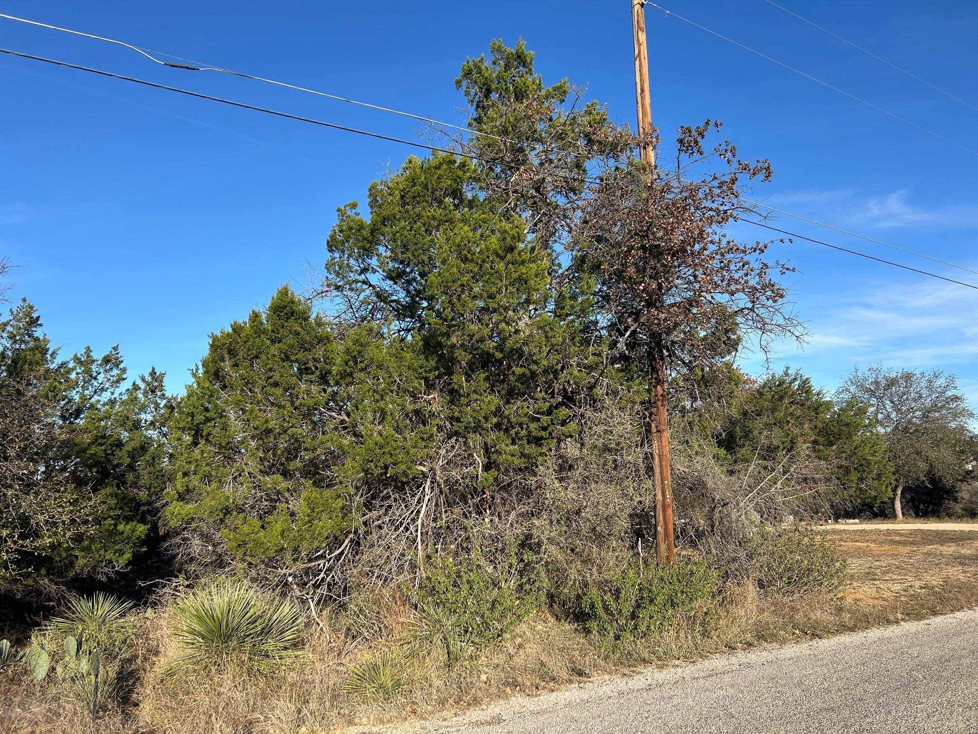 118 W Greenbriar, Granite Shoals, TX 78654